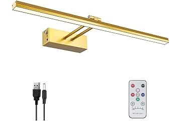 FUNCHDAY Picture Light,20" Battery Picture Light for Wall,5000mAh Wireless Remote Painting Light with Timer and Dimmable,Metal Art Light for Display,Artwork,Portrait,Gallery-Antique Brass