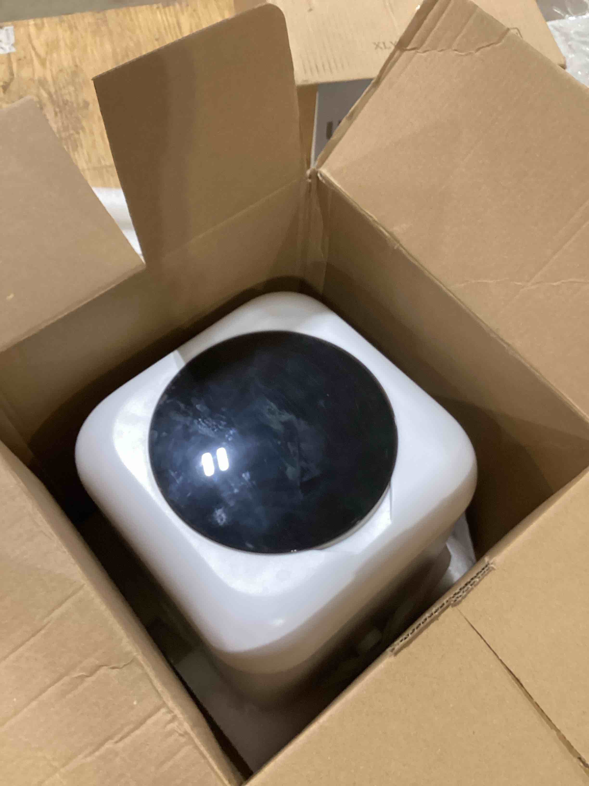 https://s3.amazonaws.com/lotting-images-prod/bidfta/TEA1908943_1741351272824.jpeg