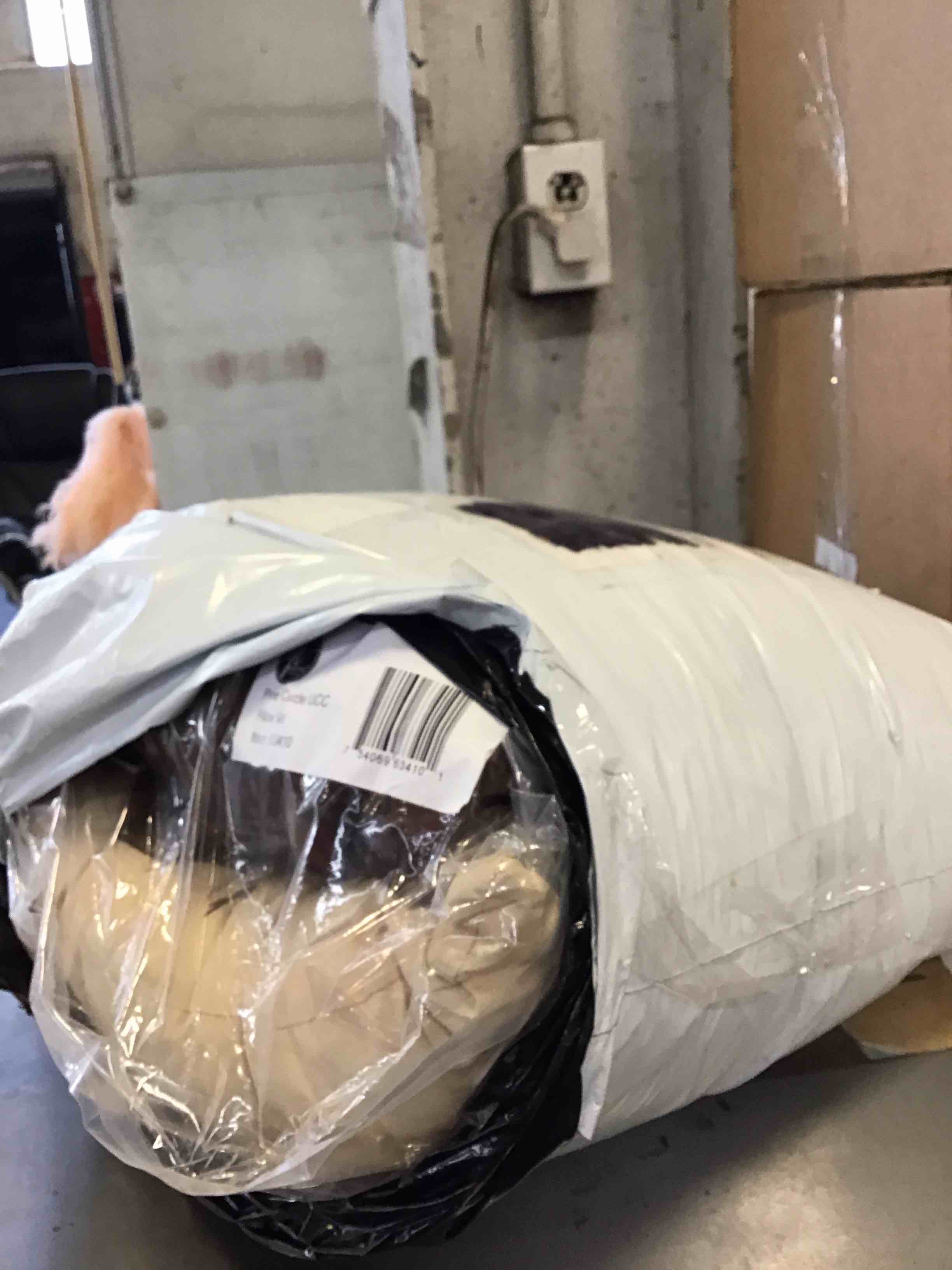 Condition photo showing Good Condition for Donna Sharp Pillow Set - Pine Circle (Set of 2)