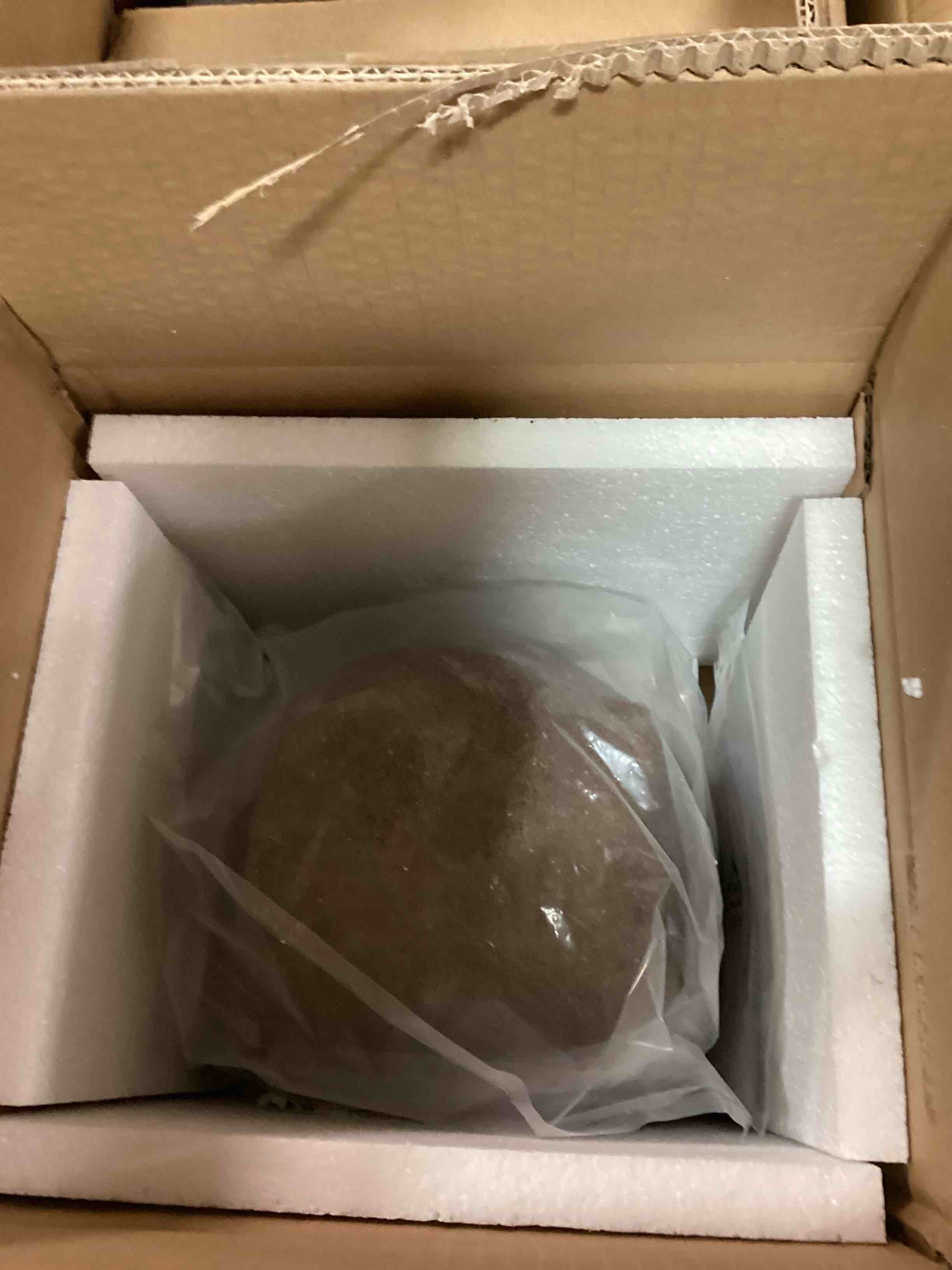 https://s3.amazonaws.com/lotting-images-prod/bidfta/TEA1920651_1736775166172.jpeg