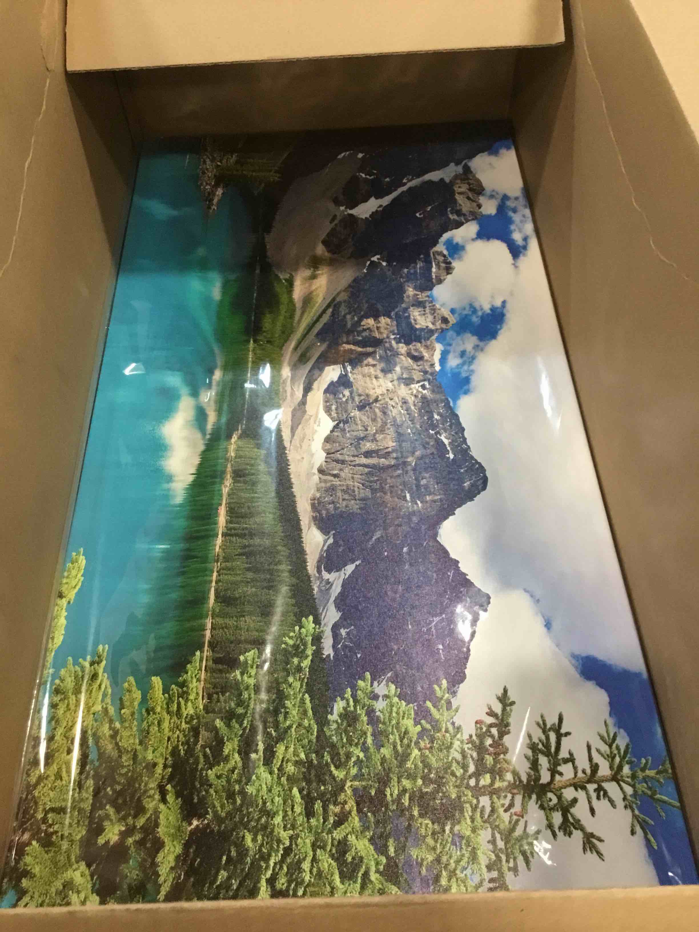 https://s3.amazonaws.com/lotting-images-prod/bidfta/TEA1929483_1737034251061.jpeg