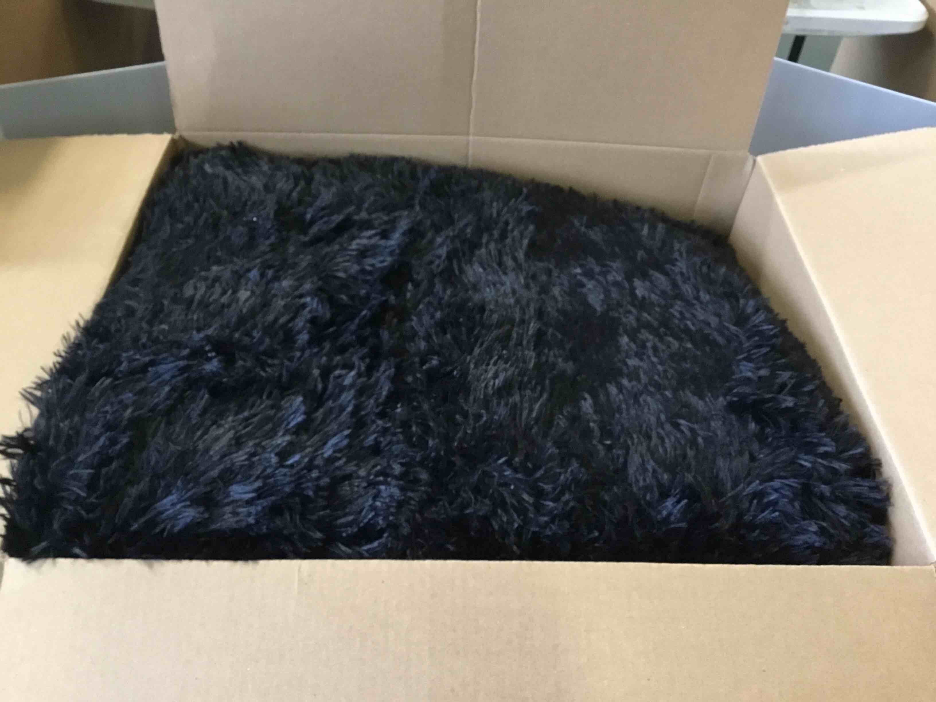 https://s3.amazonaws.com/lotting-images-prod/bidfta/TEA1949485_1744900348411.jpeg