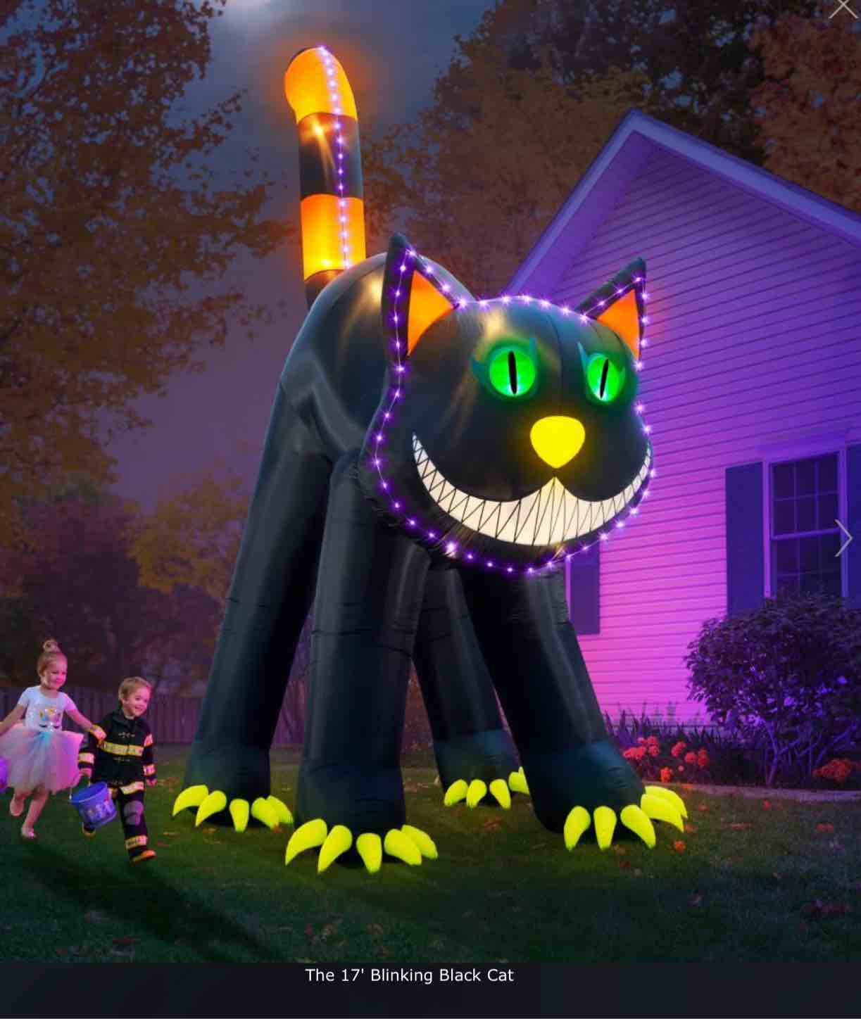 The 17' Blinking Black Cat