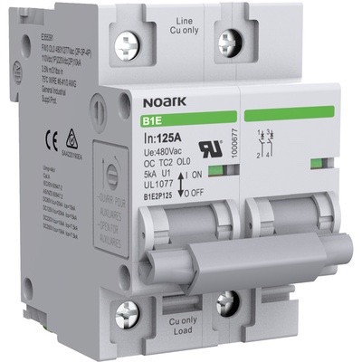 B1E2P125 MCB UL1077 - 1000677 - 2P - 125A - P-curve - 5kA - 480Vac/125Vdc Miniature Circuit Breaker (MCB) / supplementary protector - UL1077 - NOARK (B1E series) - 125A rated current - P-curve - 2-poles (2P) - 5kA (480Vac) / 10kA (220Vdc) interrupting rating - 480Vac / 125Vdc rated voltage - box lug connections -