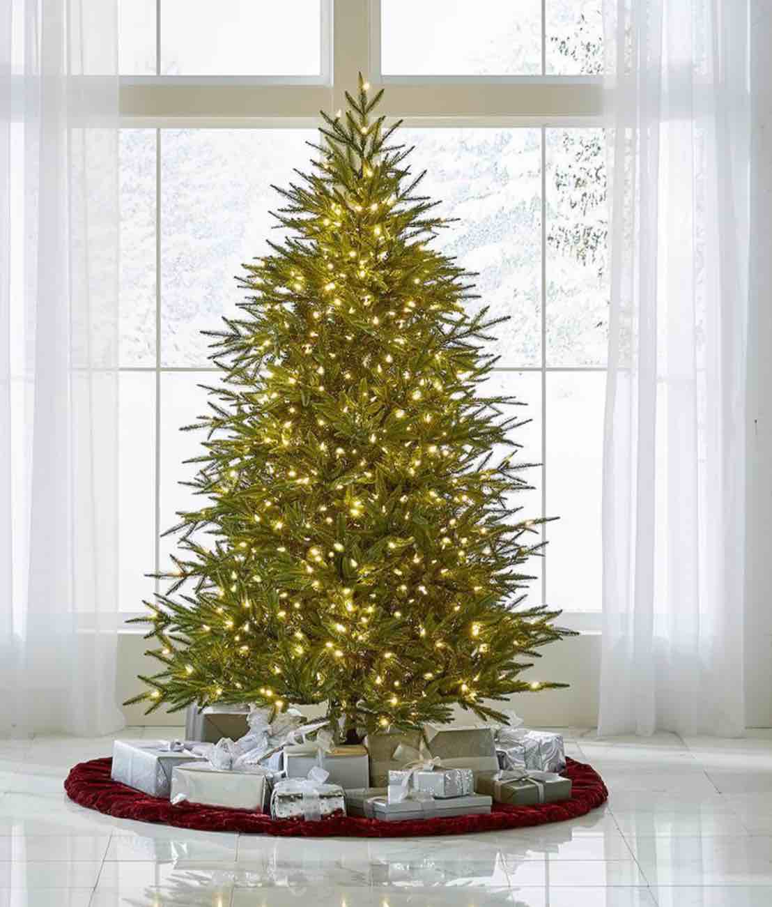 the world's best prelit fraser fir