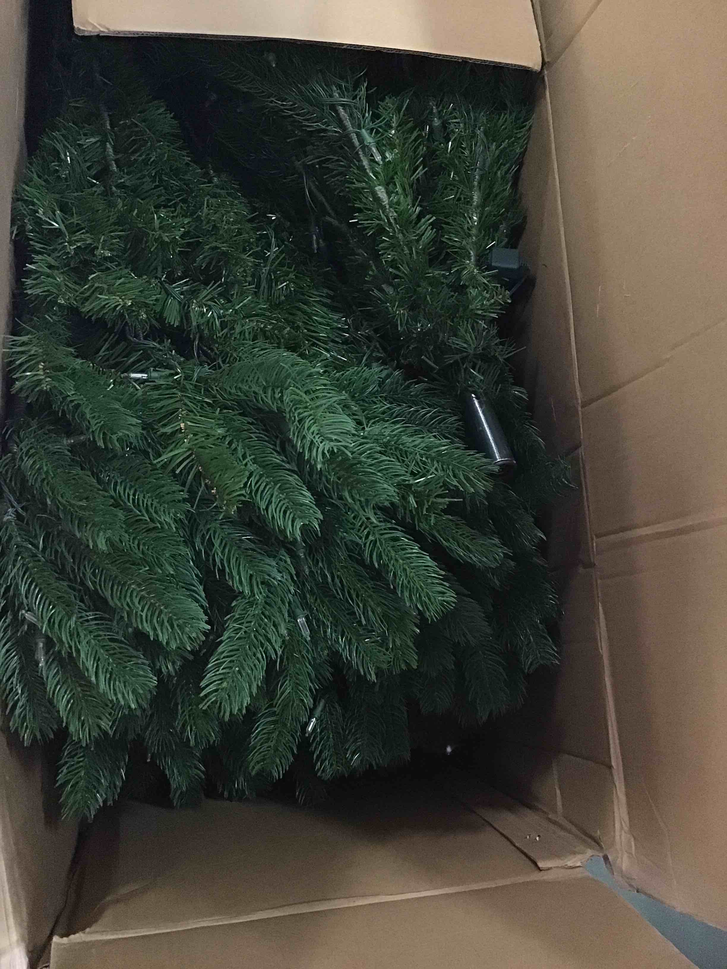 https://s3.amazonaws.com/lotting-images-prod/bidfta/TEA1954520_1743702599297.jpeg
