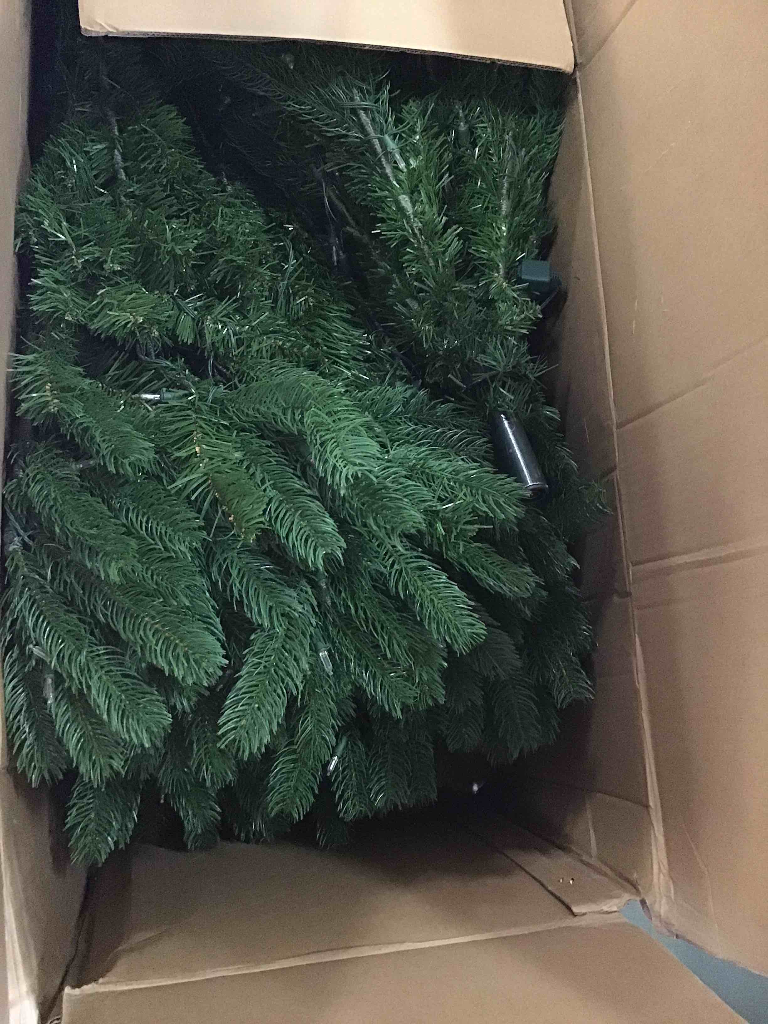 https://s3.amazonaws.com/lotting-images-prod/bidfta/TEA1954520_1743702600441.jpeg