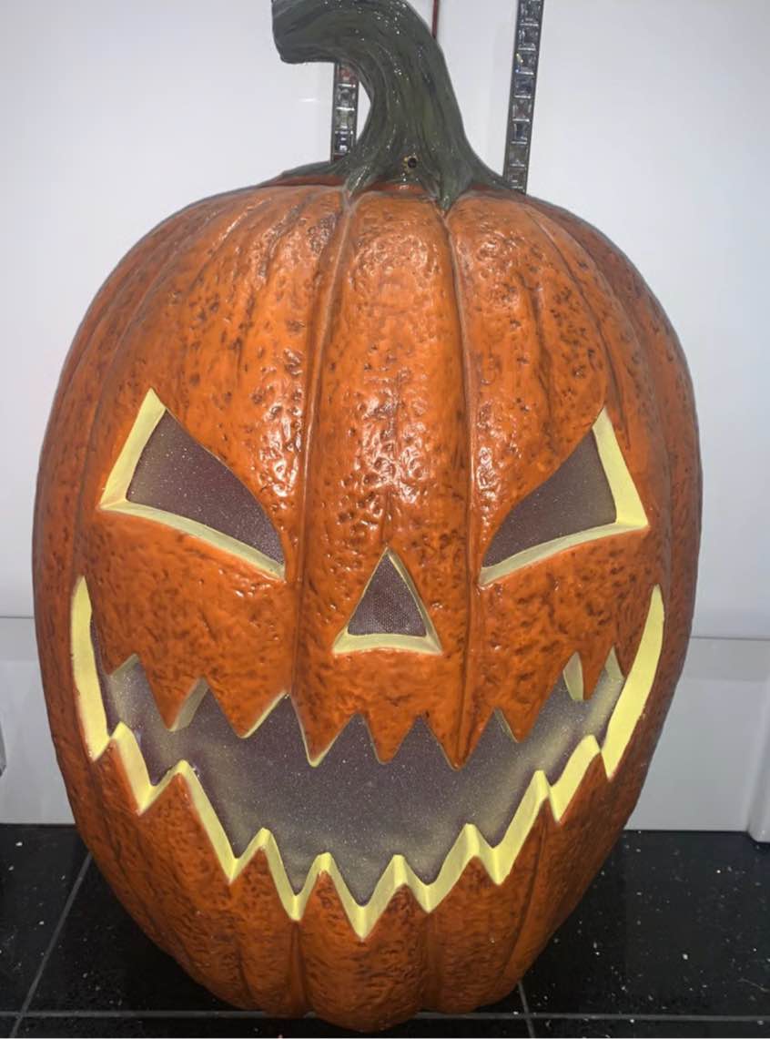 Pumpkins in Glasgow - Gumtree