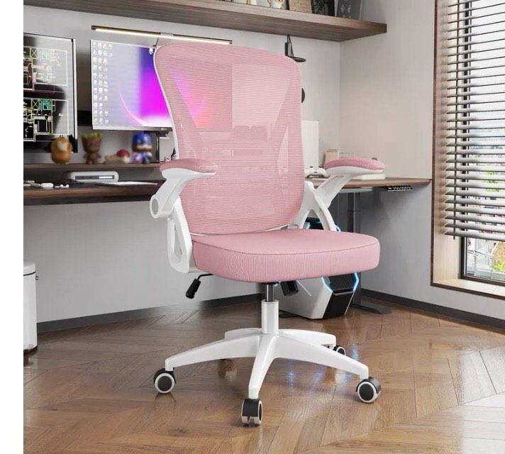 Biggzia Ergonomic Office Chair, Mid-Back Computer Chair with Adjustable Height, Flip-Up Arms and Lumbar Support, Mesh Desk Chair, Pink