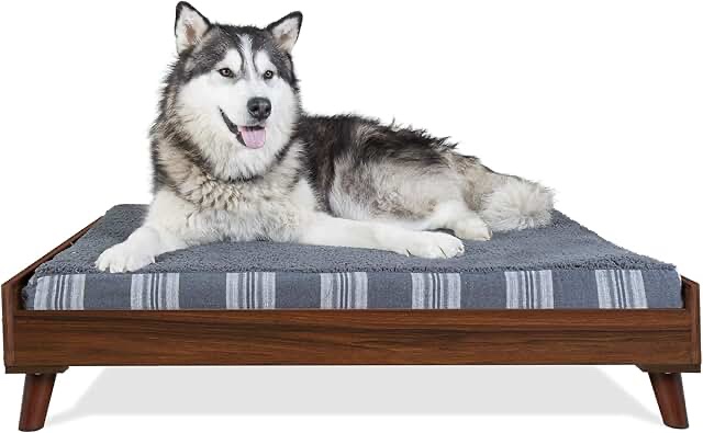 Elevated Dog Bed Frame for Pet Beds