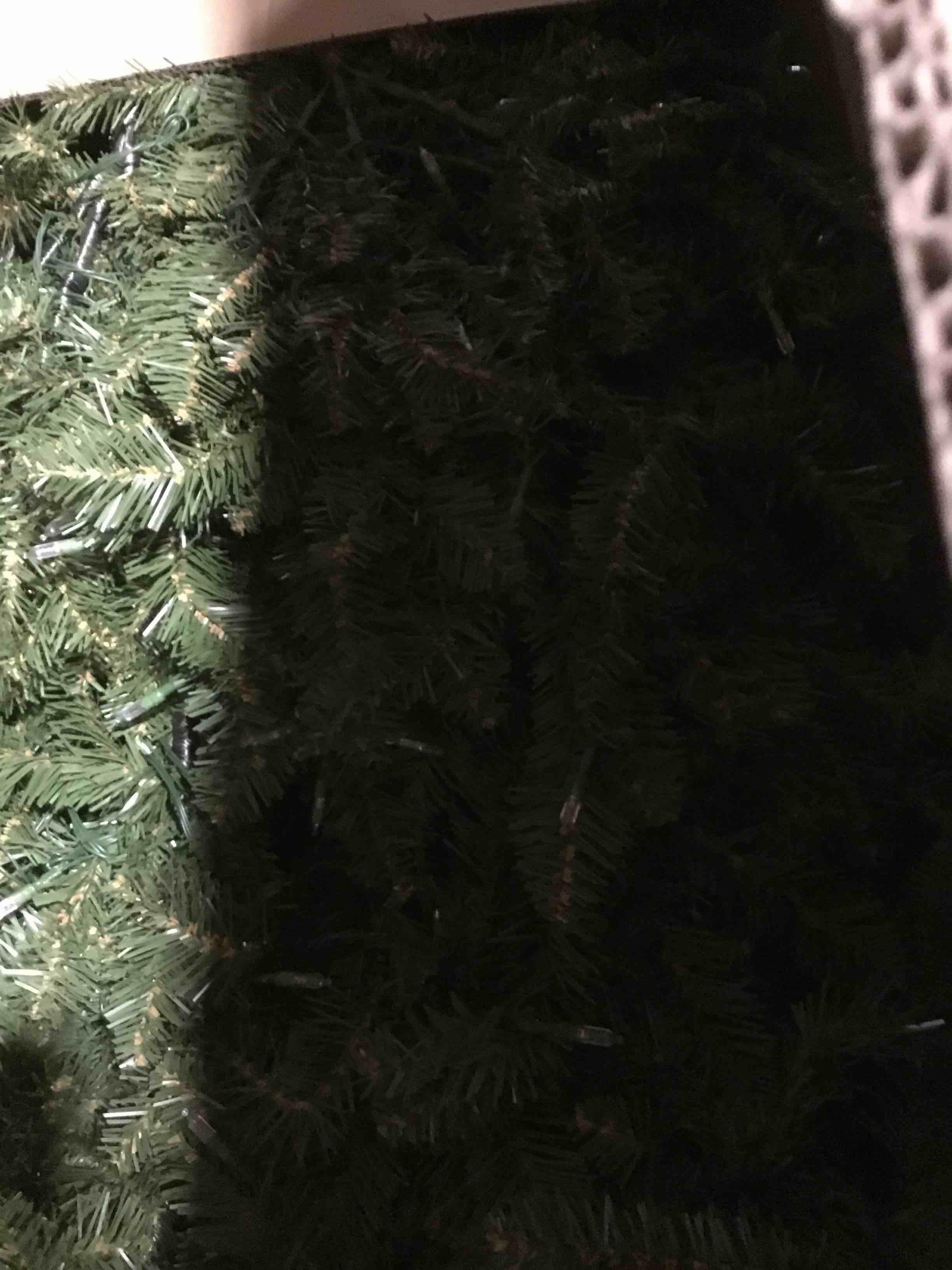 Dunhill Fir Tree with Dual Color LED Lights