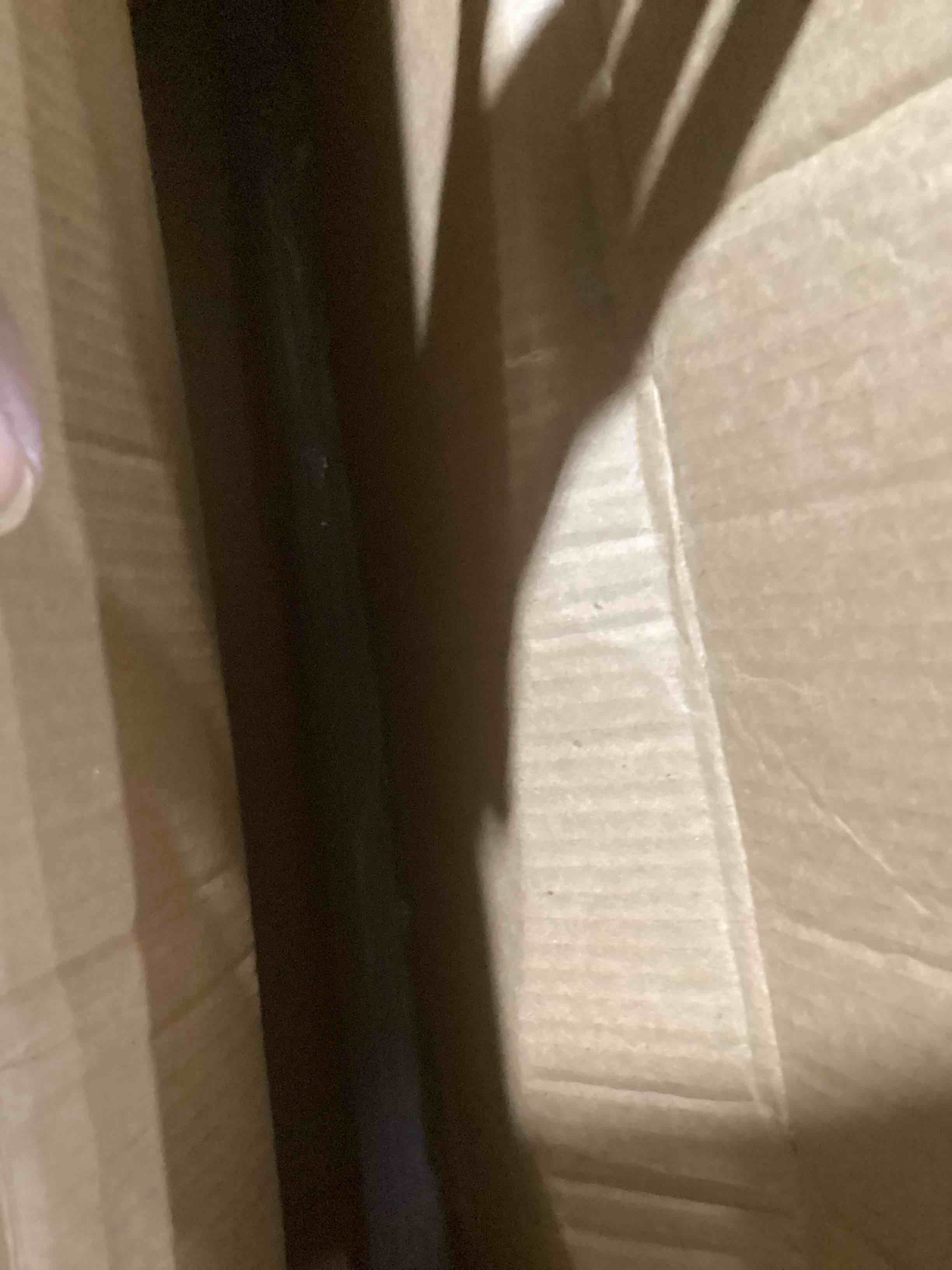 https://s3.amazonaws.com/lotting-images-prod/bidfta/TEA2035314_1738082947107.jpeg