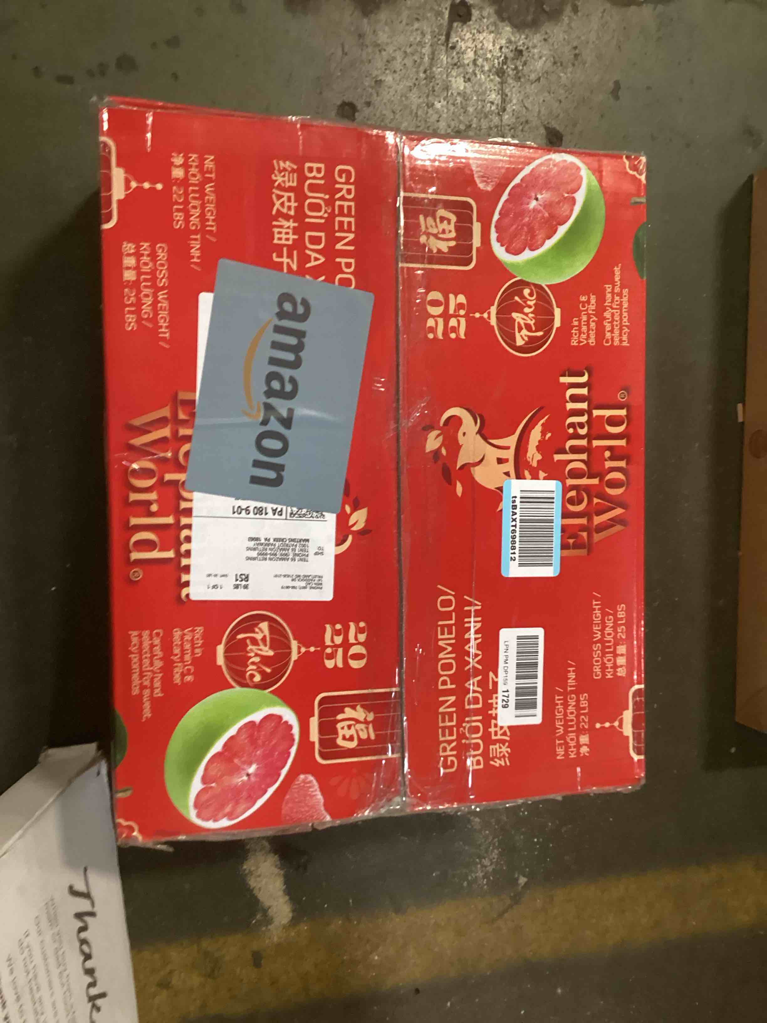 https://s3.amazonaws.com/lotting-images-prod/bidfta/TEA2055818_1740497428098.jpeg