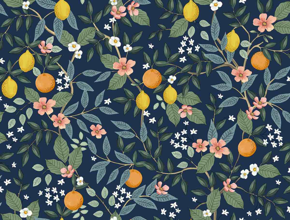 Rifle Paper Co. Citrus Grove Peel & Stick Wallpaper - Navy Blue 27in X20ft  