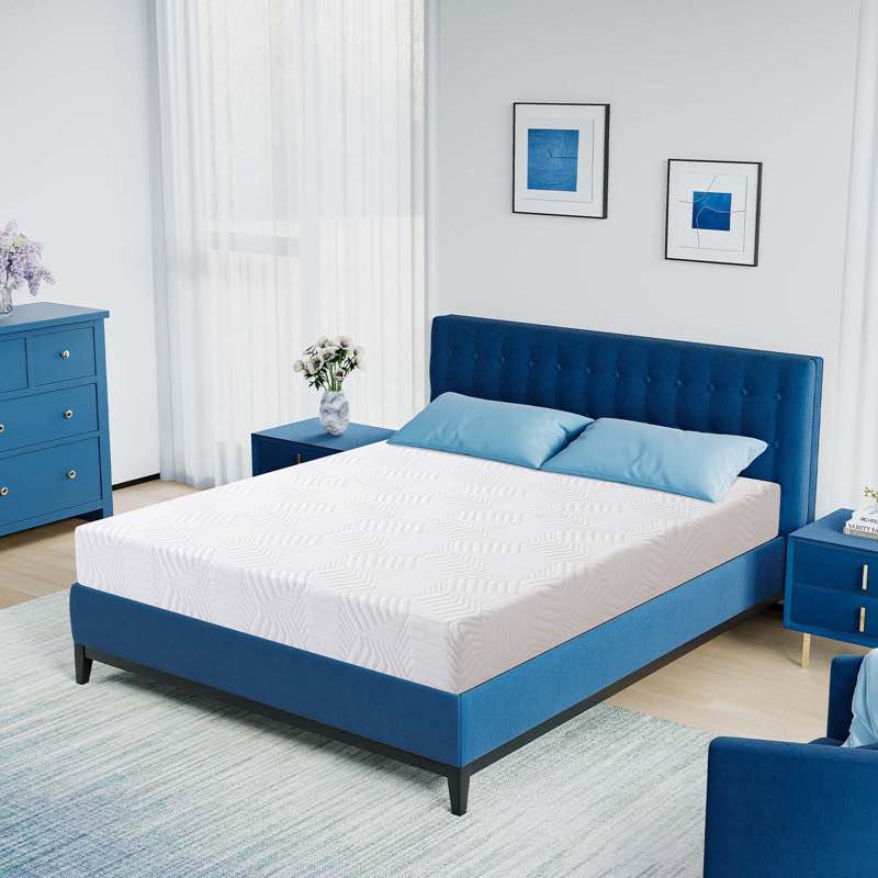 Wayfair Sleep 8" Firm Memory Foam Mattress