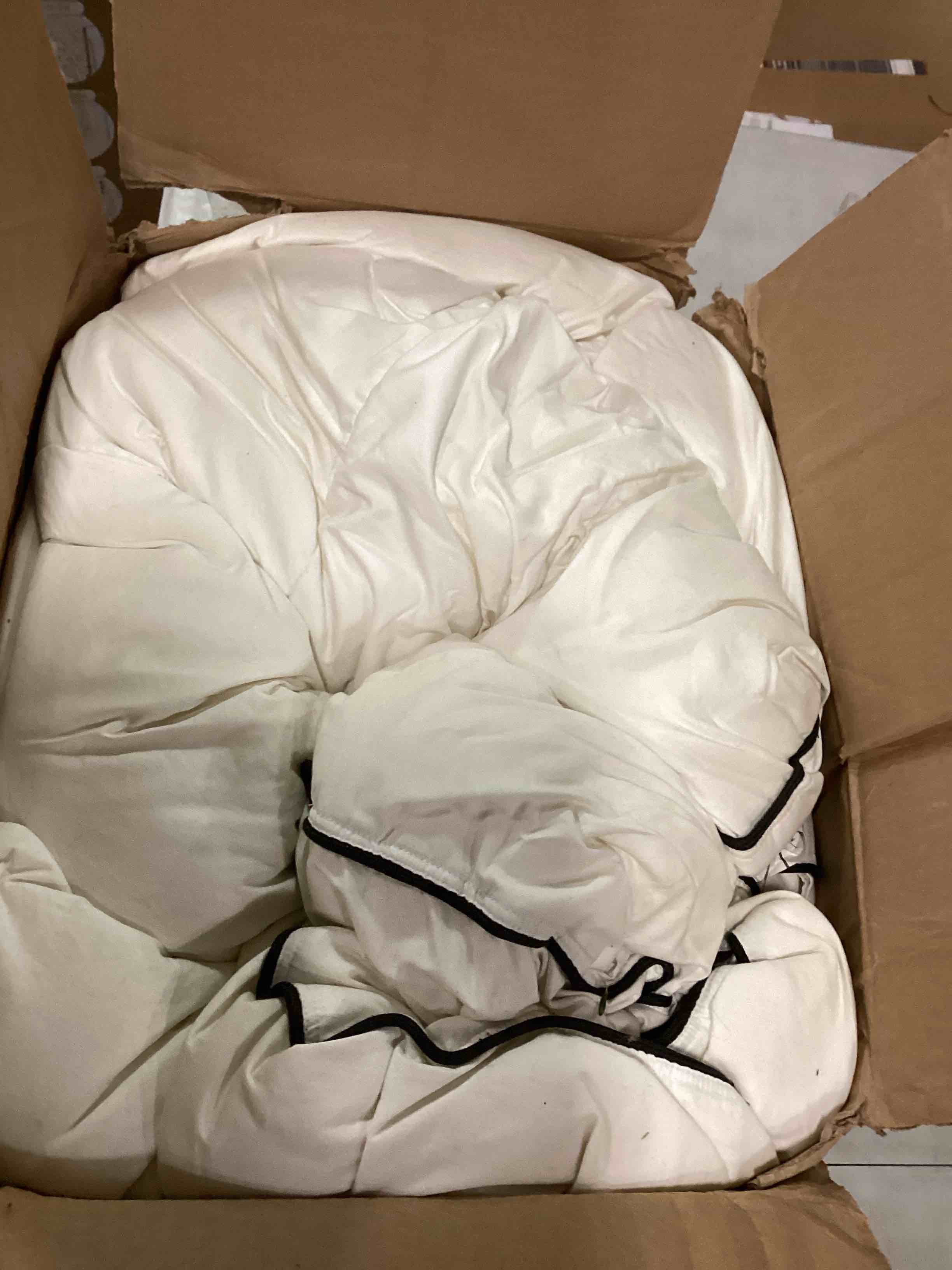 https://s3.amazonaws.com/lotting-images-prod/bidfta/TEA2089311_1736345408630.jpeg