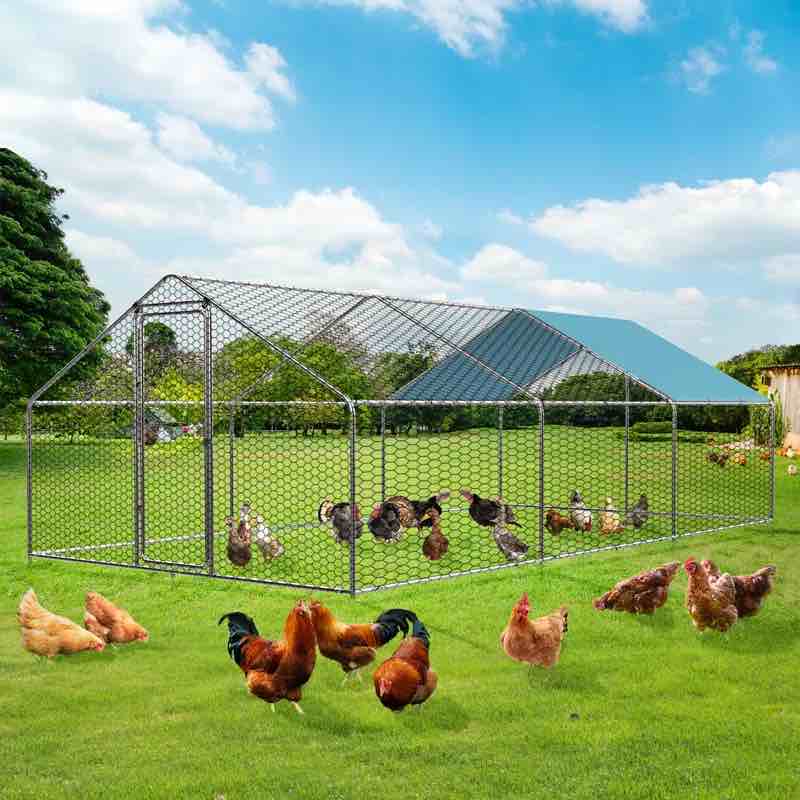 Dayson Metal Chicken Run Coop, Walk-in Poultry Cage