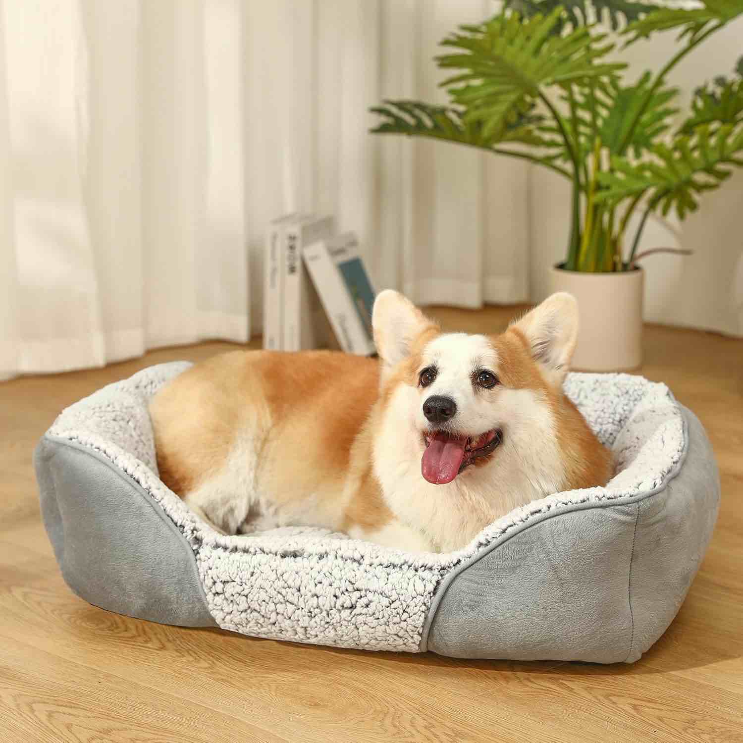Medium Size dog bed 