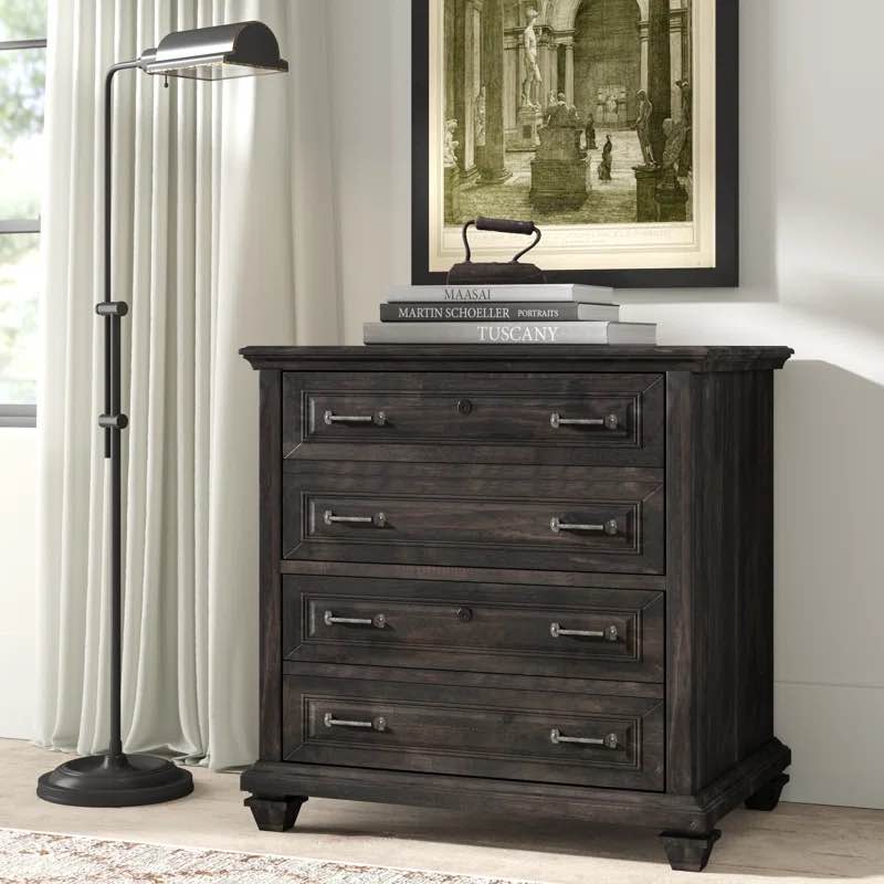 Dube 2-Drawer Lateral Filing Cabinet