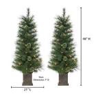 Set Of 2 Elegant 4 Foot Potted Hard Needle Cashmere Trees With Warm White LED Lights
