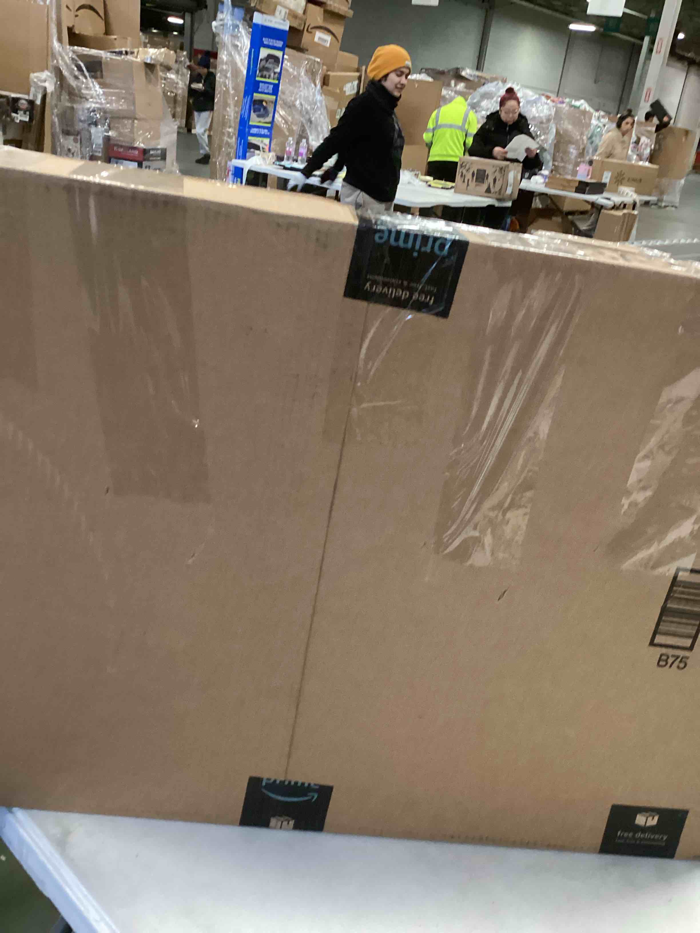 https://s3.amazonaws.com/lotting-images-prod/bidfta/TEA2105055_1737378063649.jpeg