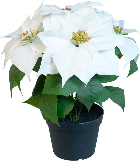 White Artificial Christmas Poinsettia Plant in Pot *similar to stock photo*
