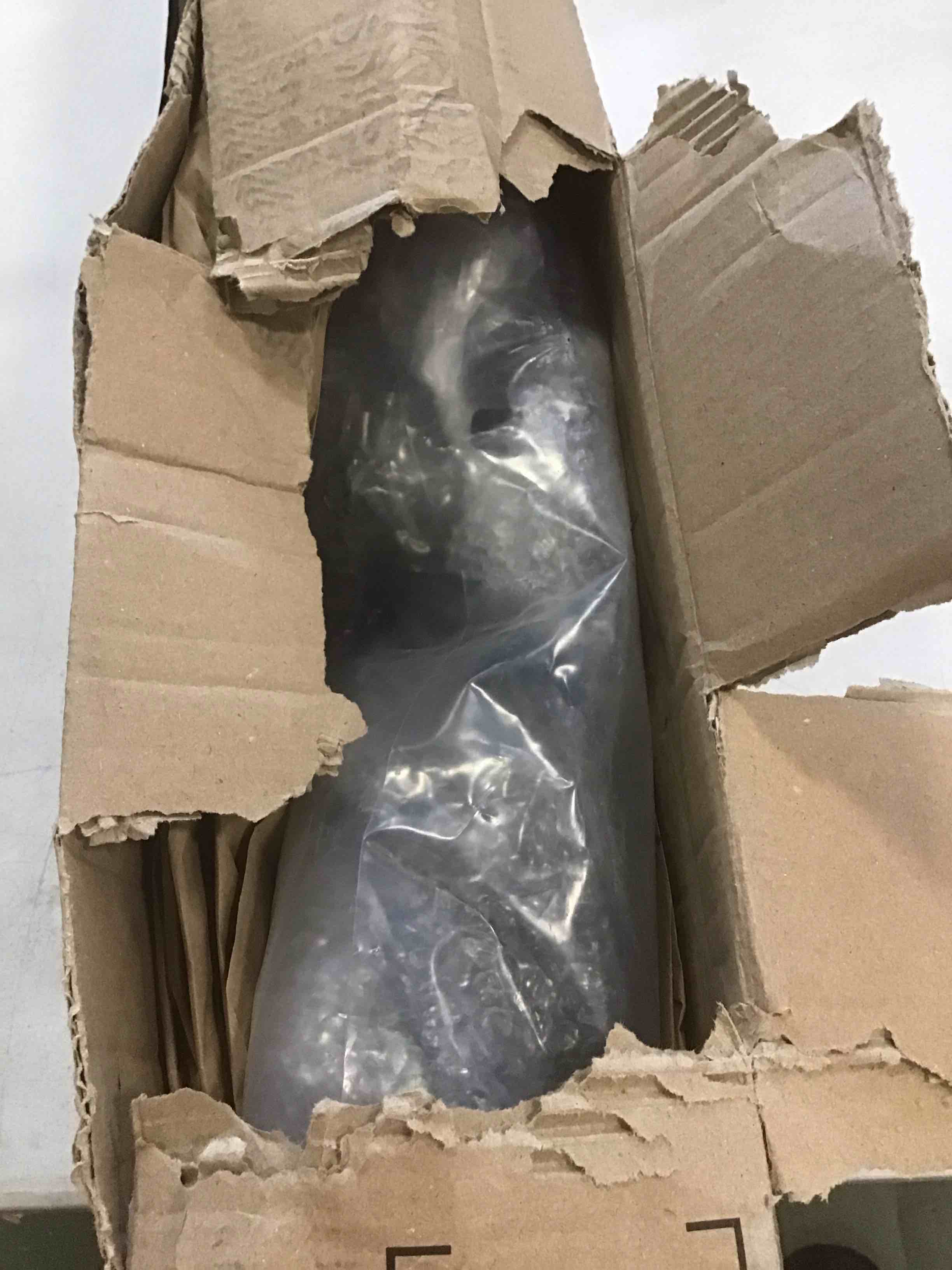 https://s3.amazonaws.com/lotting-images-prod/bidfta/TEA2105611_1738071260408.jpeg