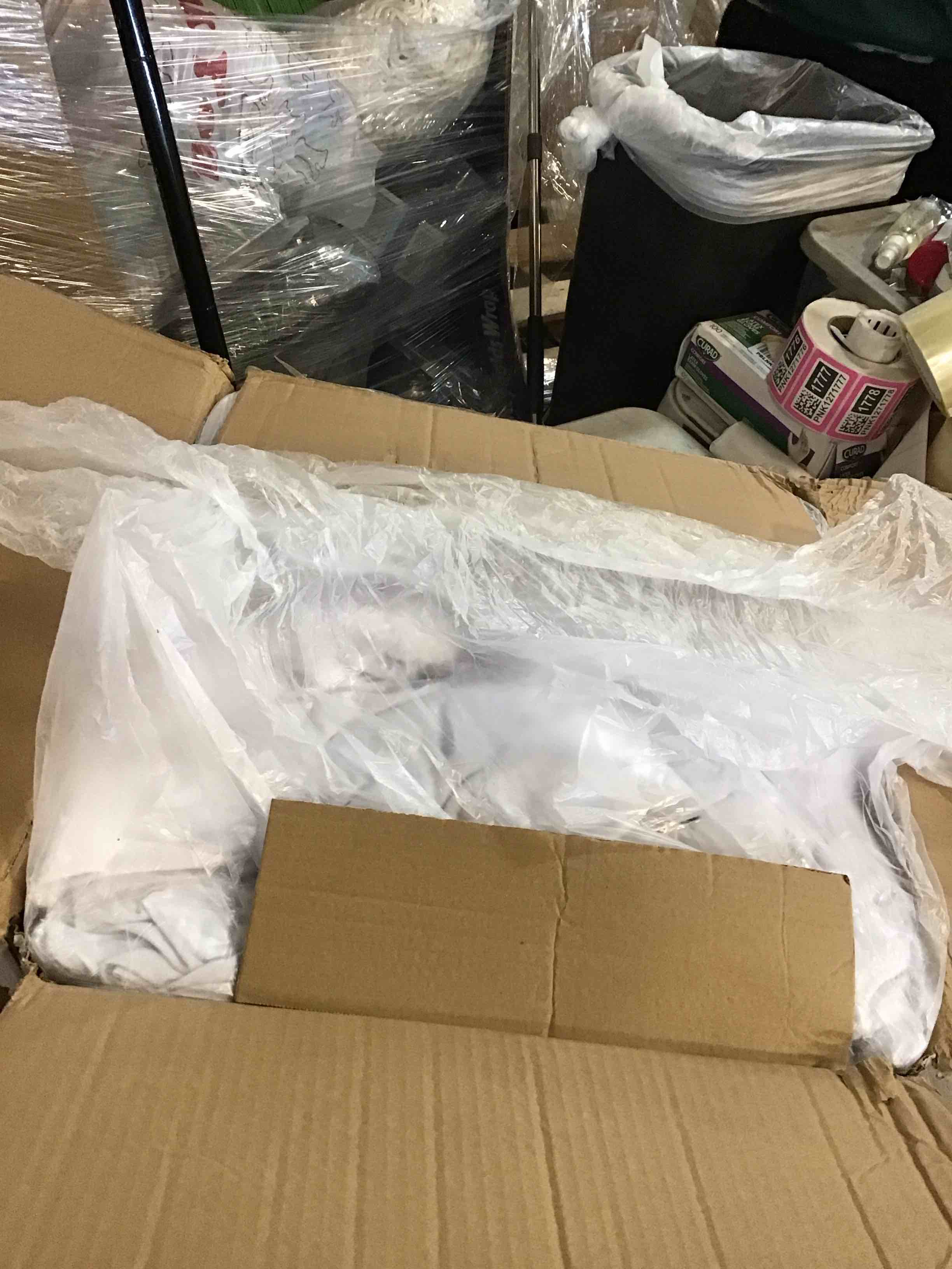 https://s3.amazonaws.com/lotting-images-prod/bidfta/TEA2113389_1737391722807.jpeg