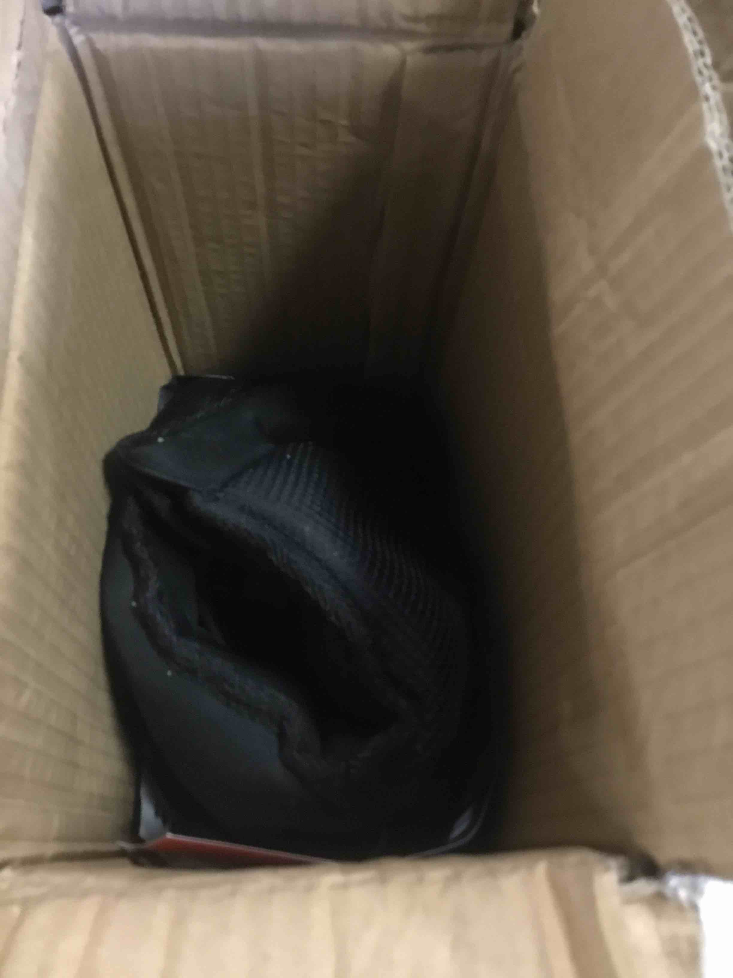 https://s3.amazonaws.com/lotting-images-prod/bidfta/TEA2118206_1739220686883.jpeg