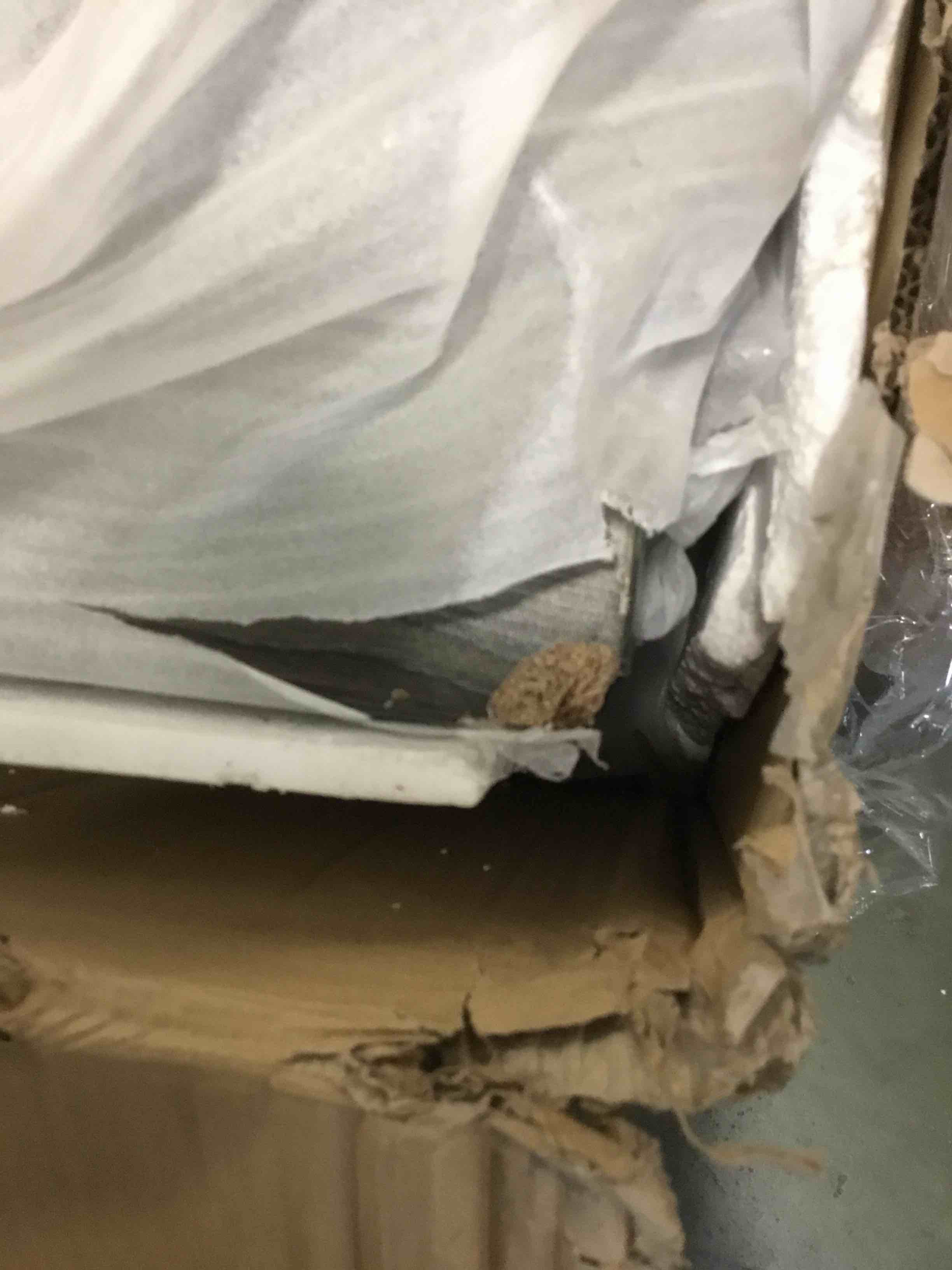 https://s3.amazonaws.com/lotting-images-prod/bidfta/TEA2122360_1739975991747.jpeg
