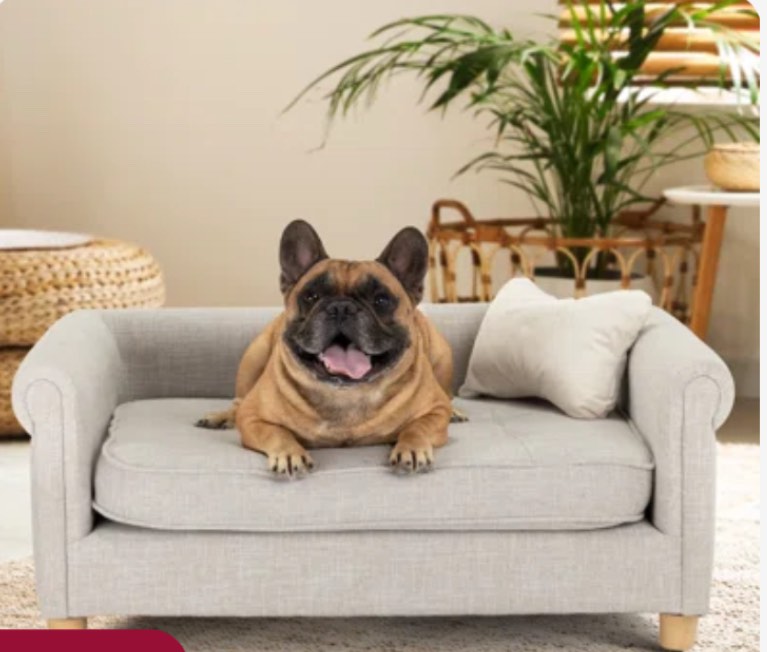 Dinel Premium Dog Sofa Bed With Bone Pillow up to 70 lbs