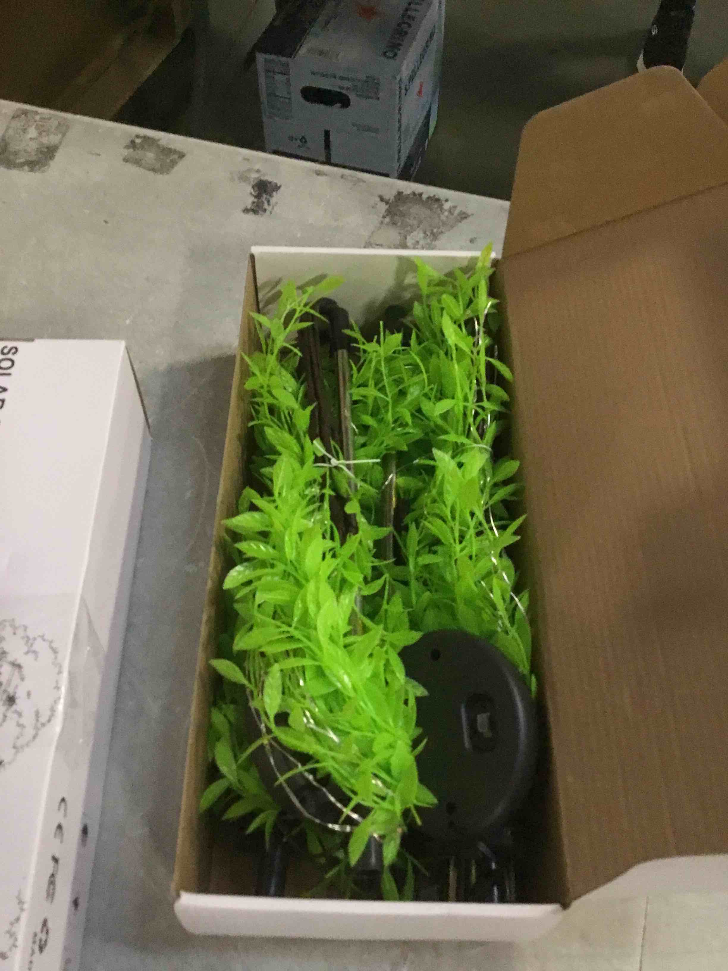 https://s3.amazonaws.com/lotting-images-prod/bidfta/TEA2137014_1744381440801.jpeg