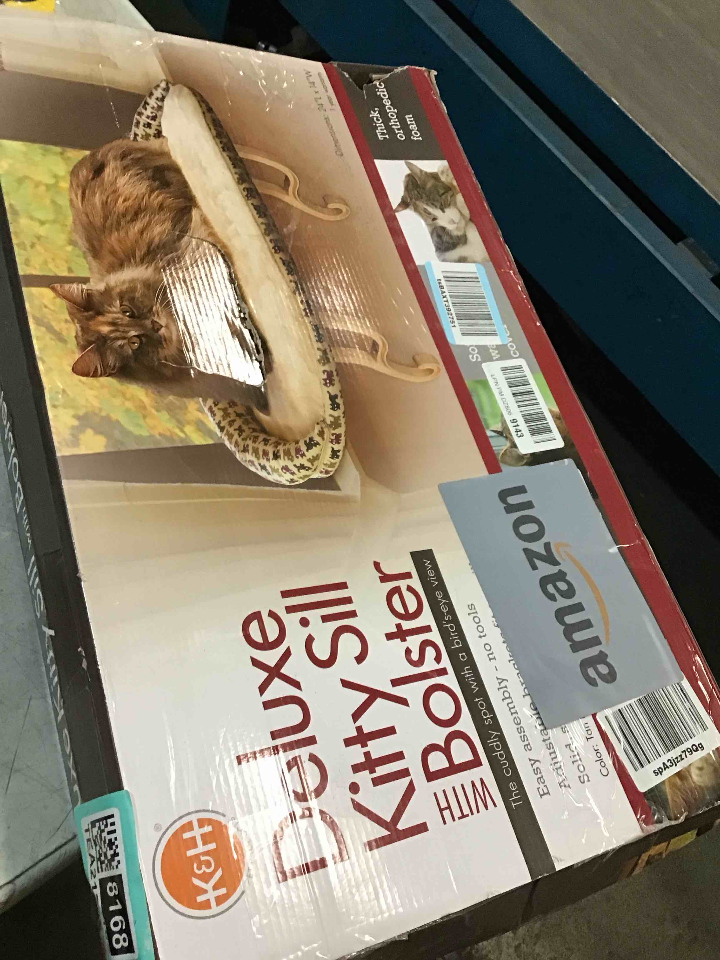 https://s3.amazonaws.com/lotting-images-prod/bidfta/TEA2138168_1750506329670.jpeg