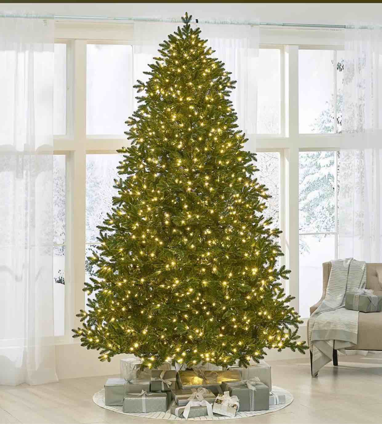 The World's Best Prelit LED Noble Fir 9:5 ft