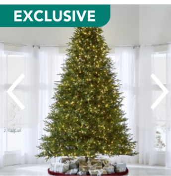 the world's best prelit fraser fir (12' full led)