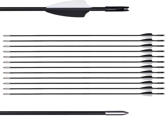 LWANO 31" Training Arrows-Archery Practice Target Arrows for Kids Youth or Beginners with Durable Shaft on Recurve Bow Compound Bow and Longbow