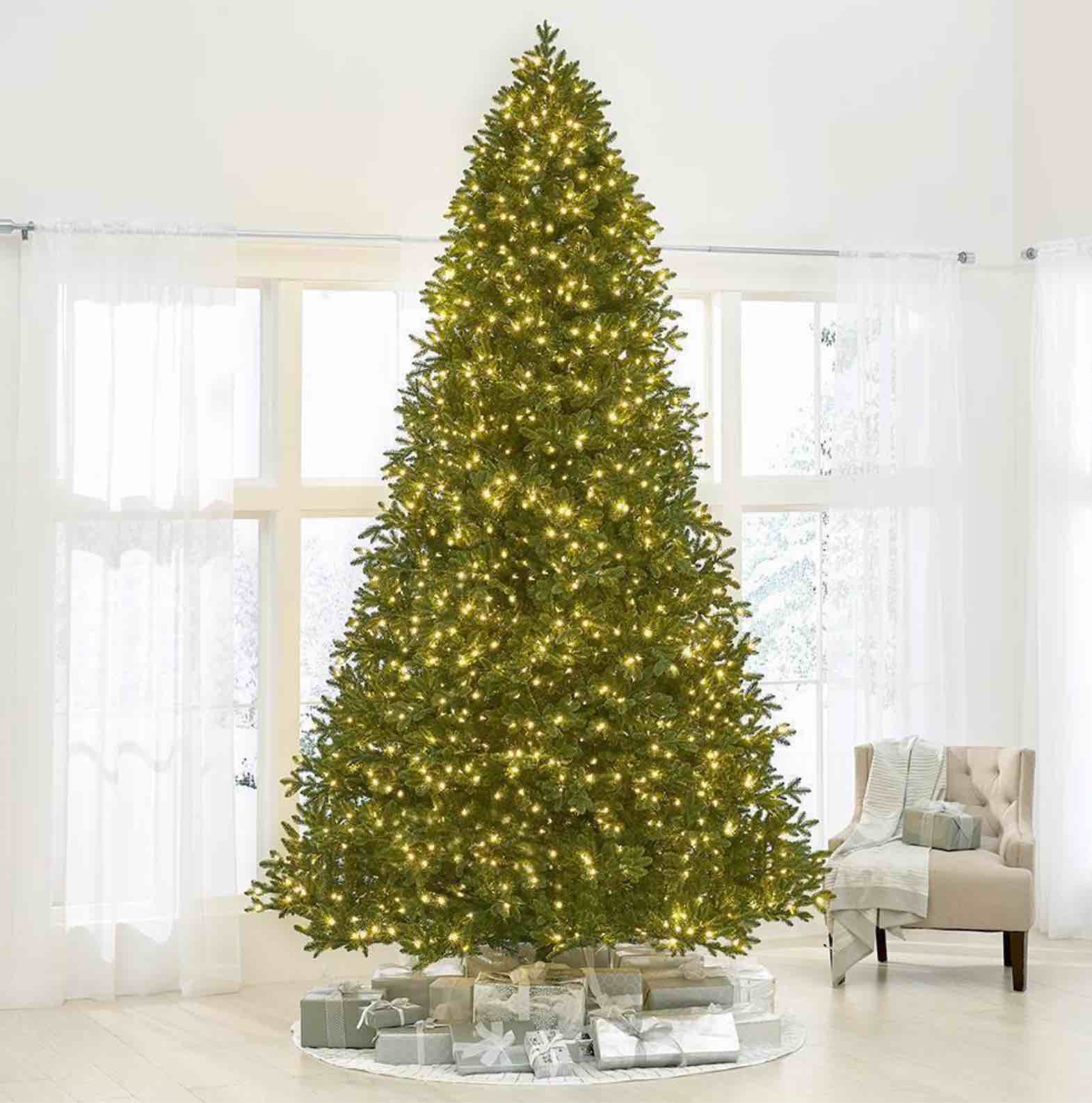 The World's Best Prelit LED Noble Fir