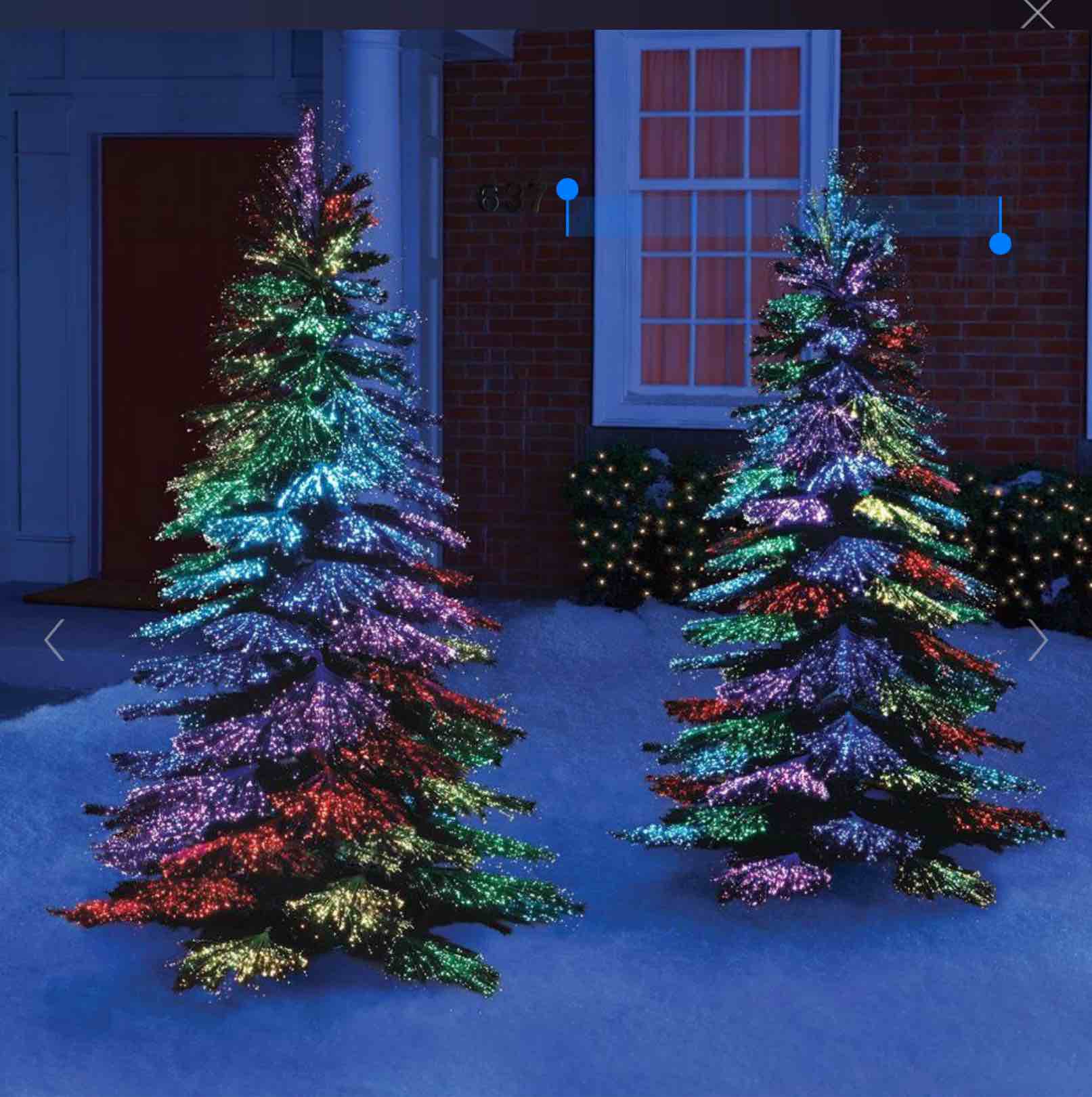 The Thousand Points of Light Tree