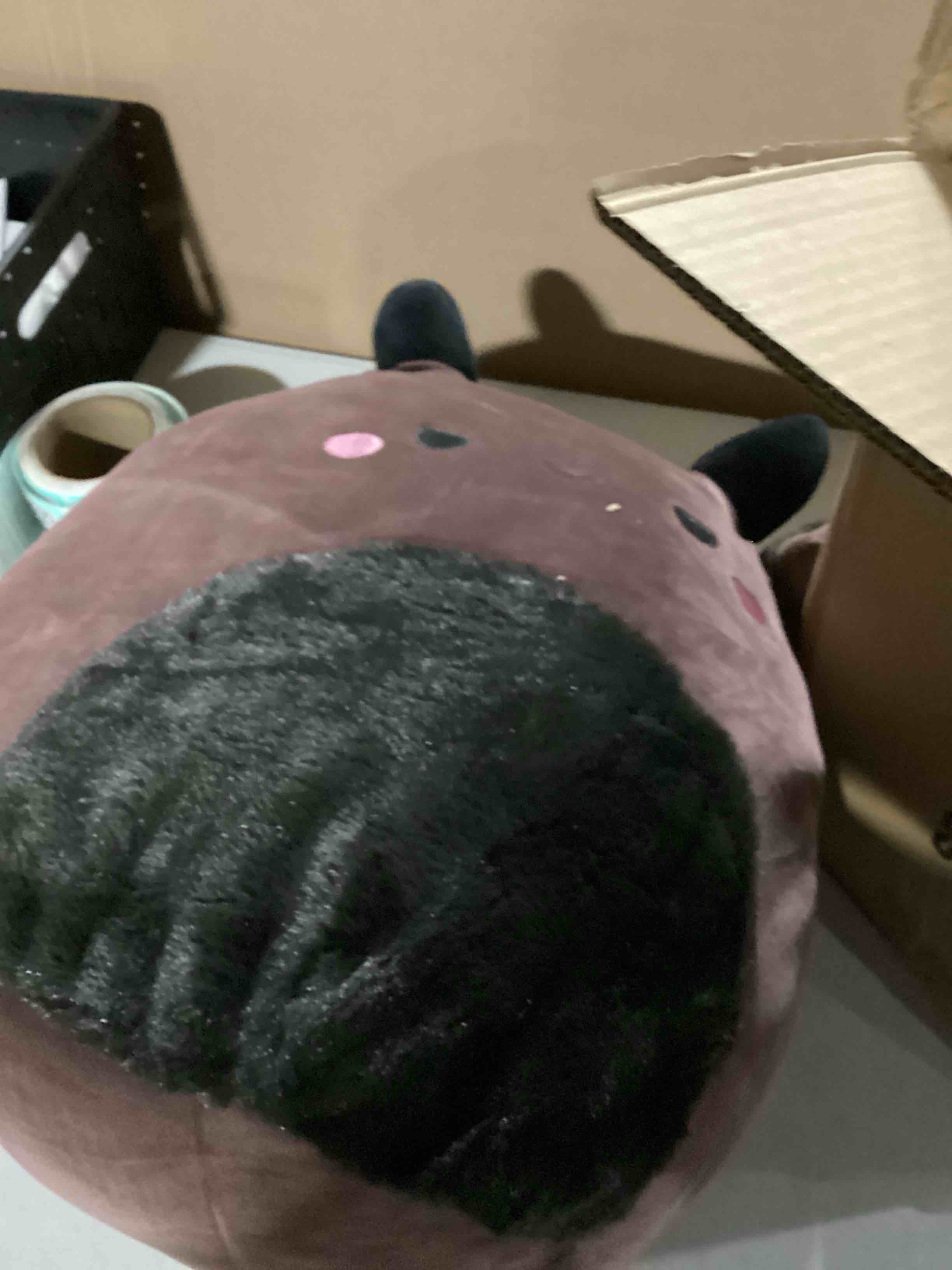 https://s3.amazonaws.com/lotting-images-prod/bidfta/TEA2178753_1747661428381.jpeg