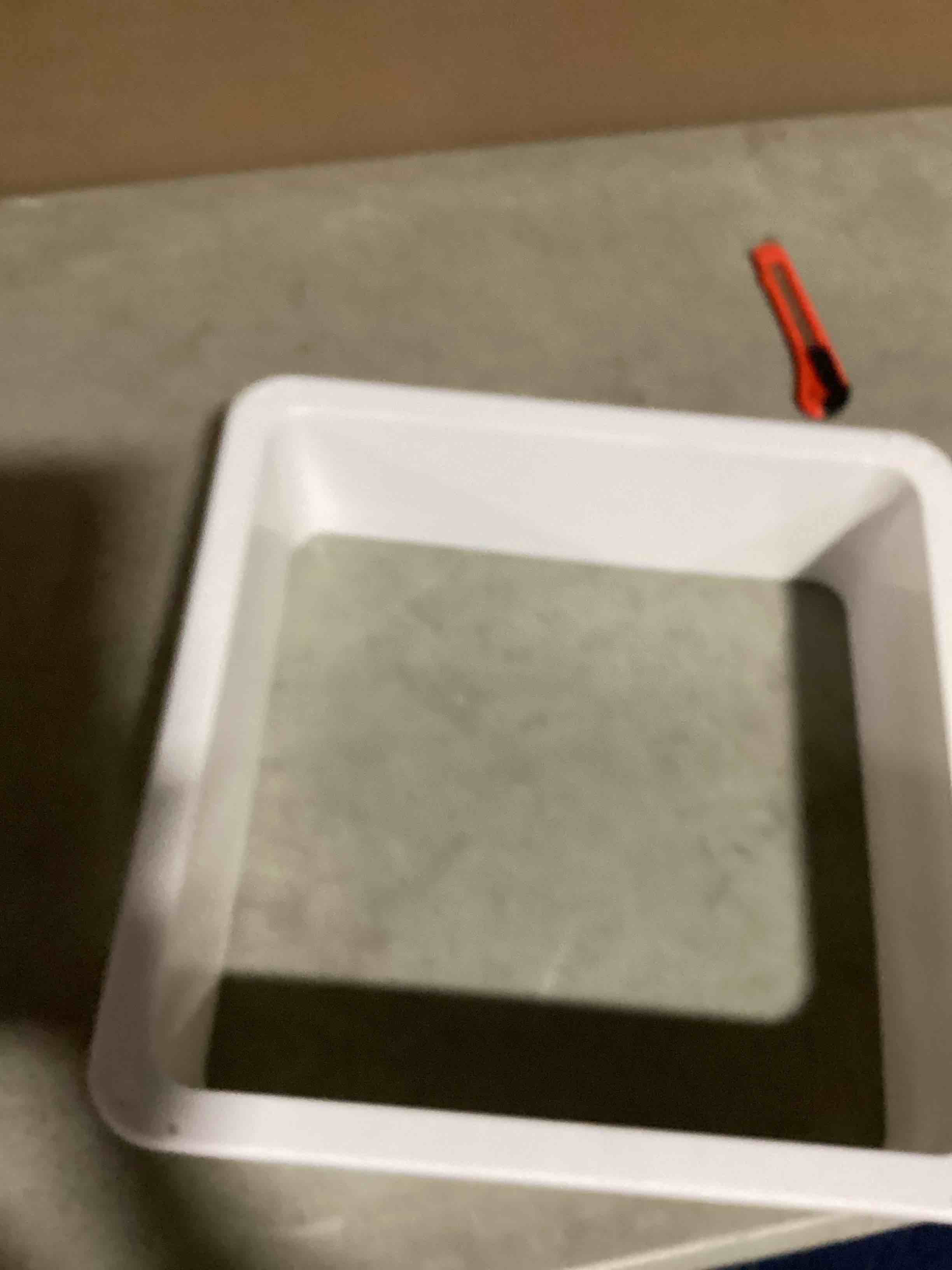 https://s3.amazonaws.com/lotting-images-prod/bidfta/TEA2196282_1750428686951.jpeg
