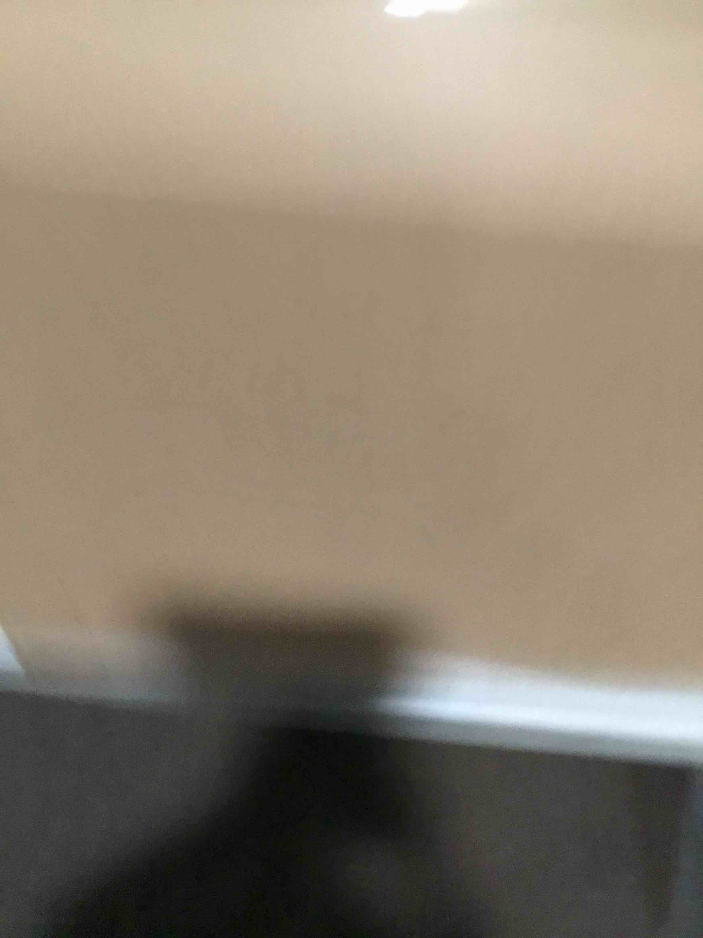 https://s3.amazonaws.com/lotting-images-prod/bidfta/TEA2196675_1750878840891.jpeg