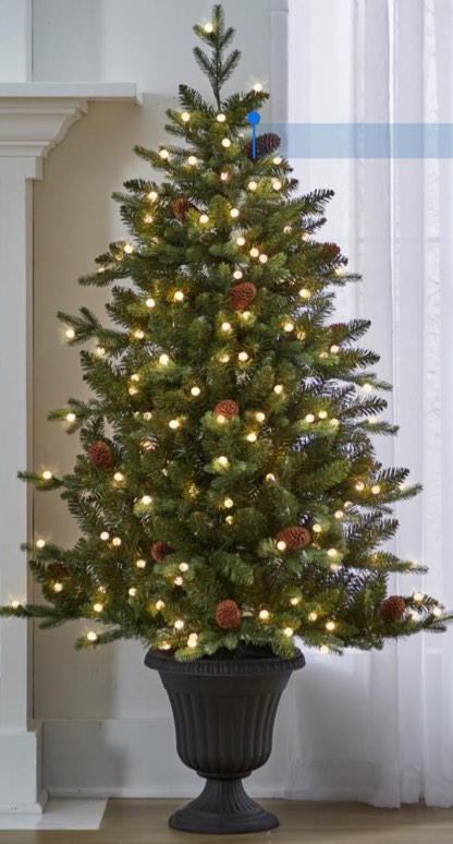 the potted 5' prelit pinecone spruce