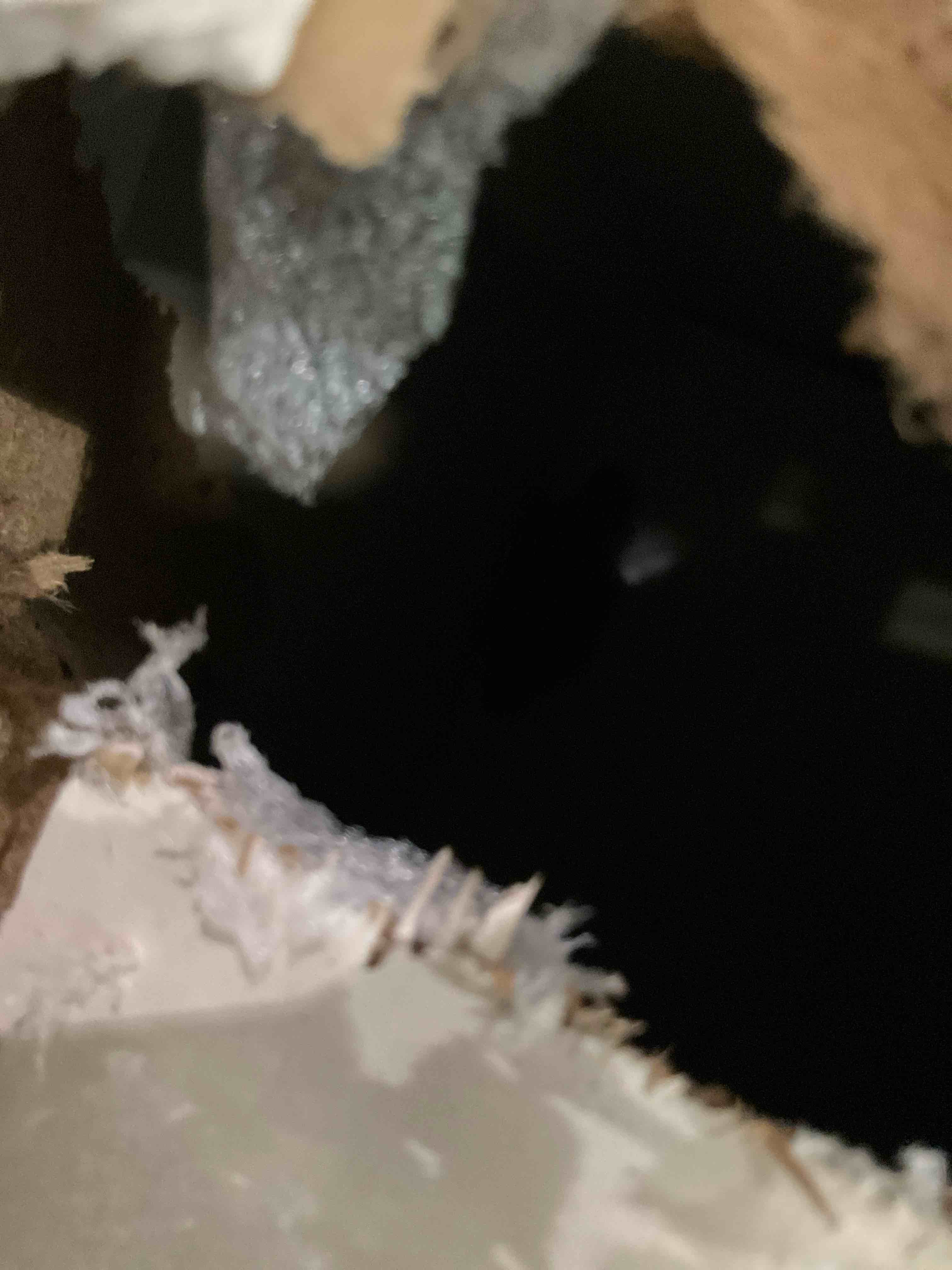 https://s3.amazonaws.com/lotting-images-prod/bidfta/TEA2344005_1751994150914.jpeg