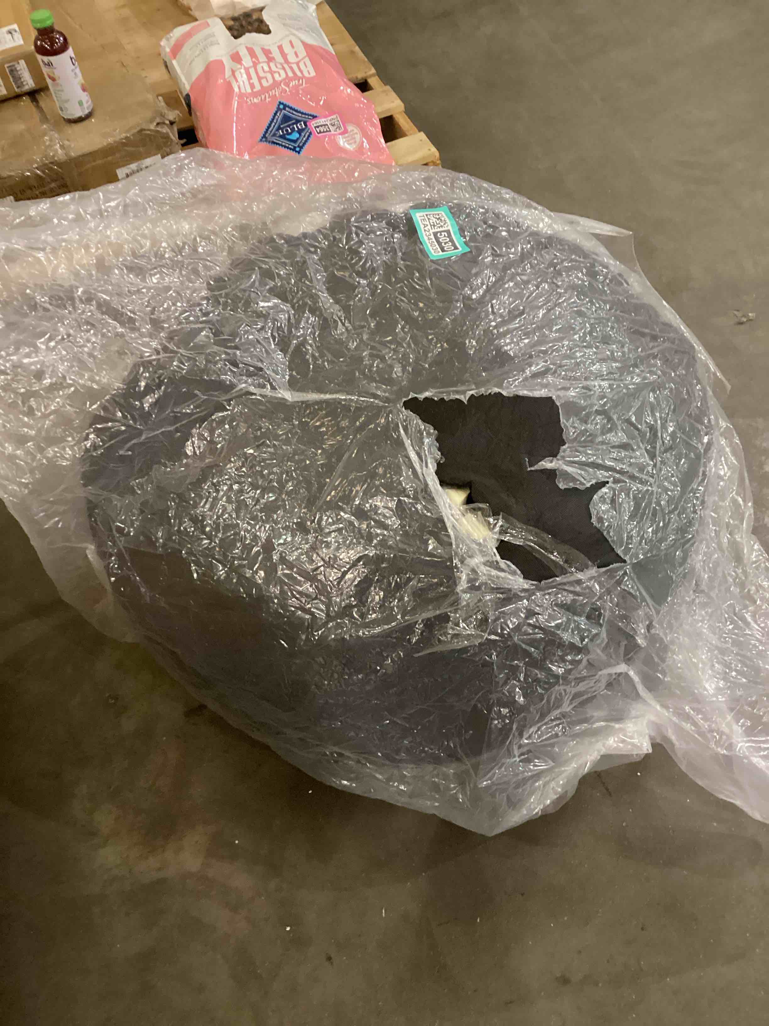 beanbag cushion
