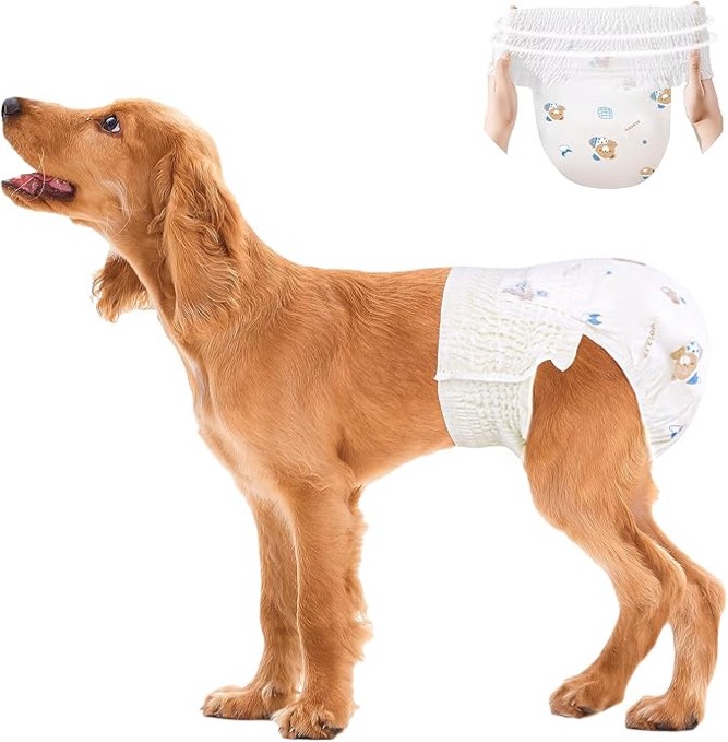 Ambreview Pet Diapers