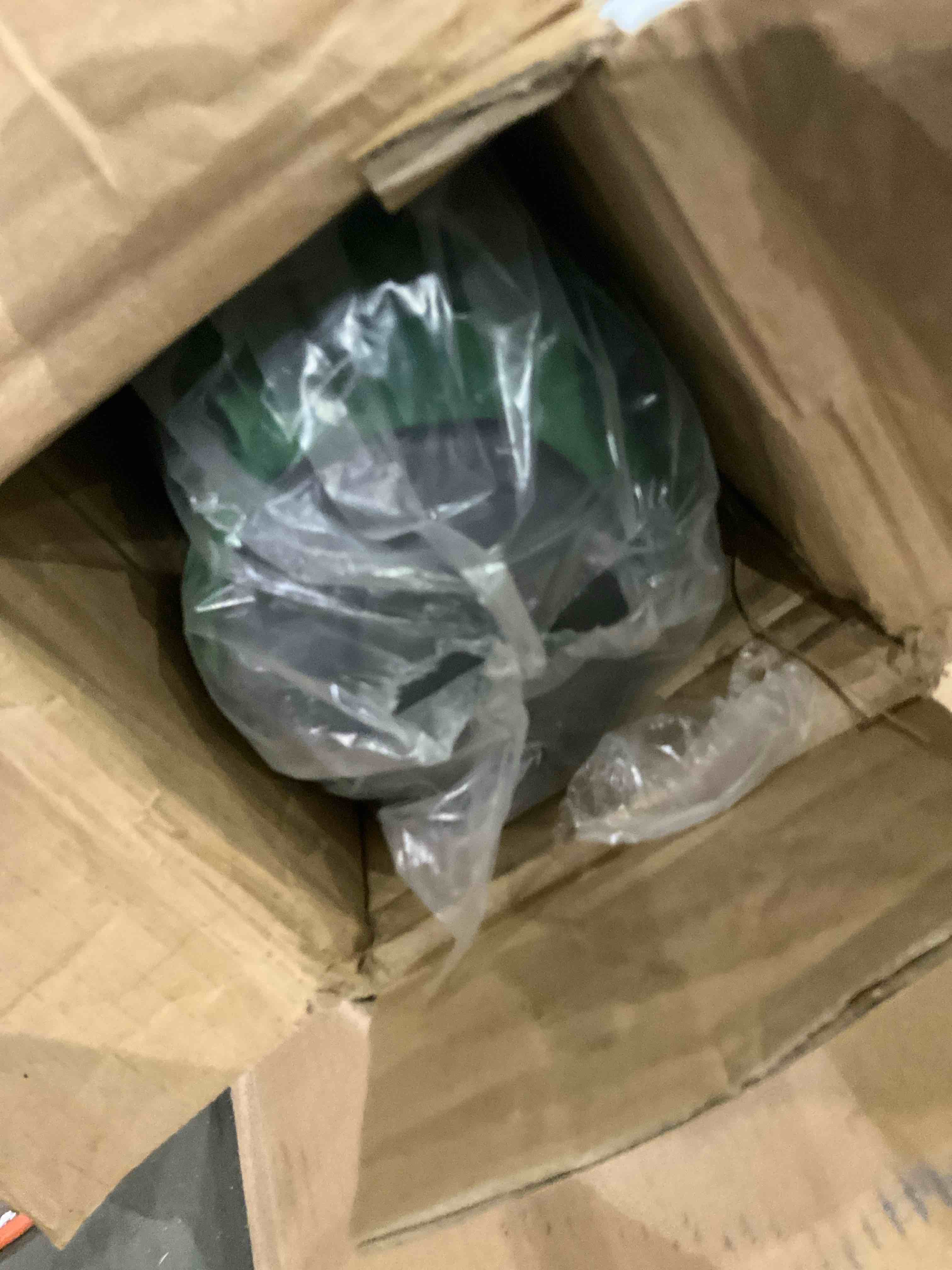 https://s3.amazonaws.com/lotting-images-prod/bidfta/TEA2351134_1750850893029.jpeg