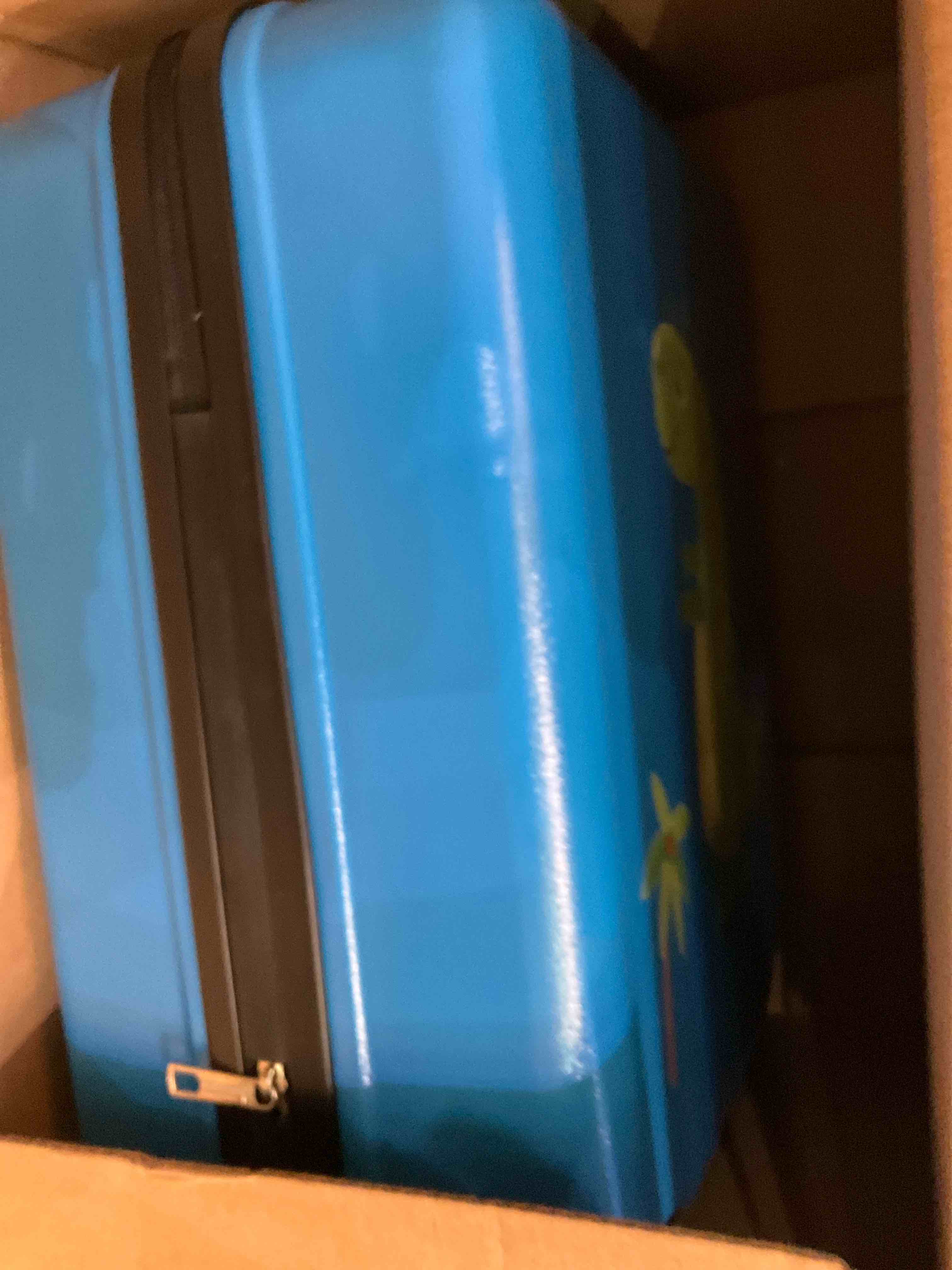 https://s3.amazonaws.com/lotting-images-prod/bidfta/TEA2352914_1751296621293.jpeg