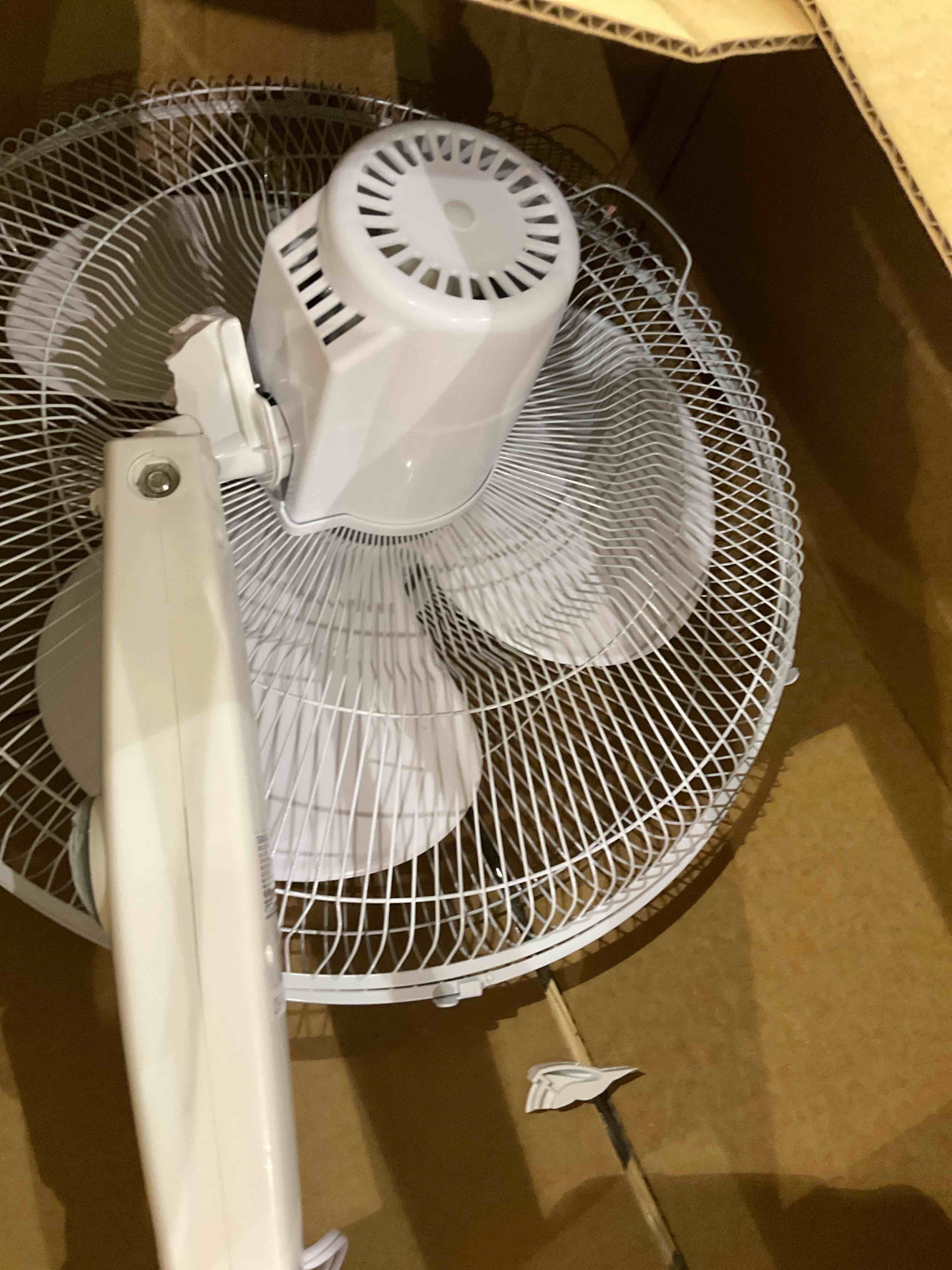 https://s3.amazonaws.com/lotting-images-prod/bidfta/TEA2357959_1750854053930.jpeg
