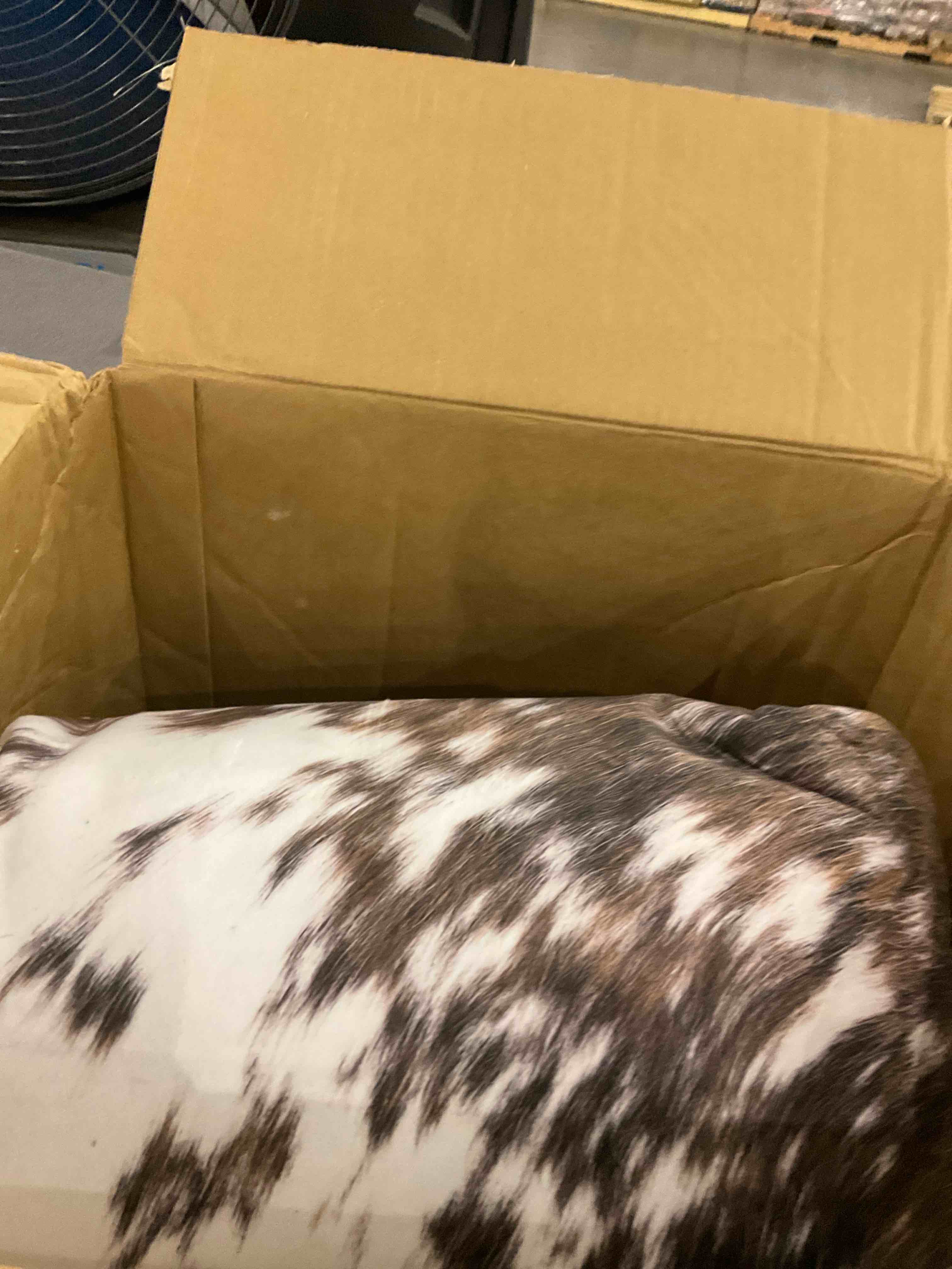 https://s3.amazonaws.com/lotting-images-prod/bidfta/TEA2358629_1750941627435.jpeg