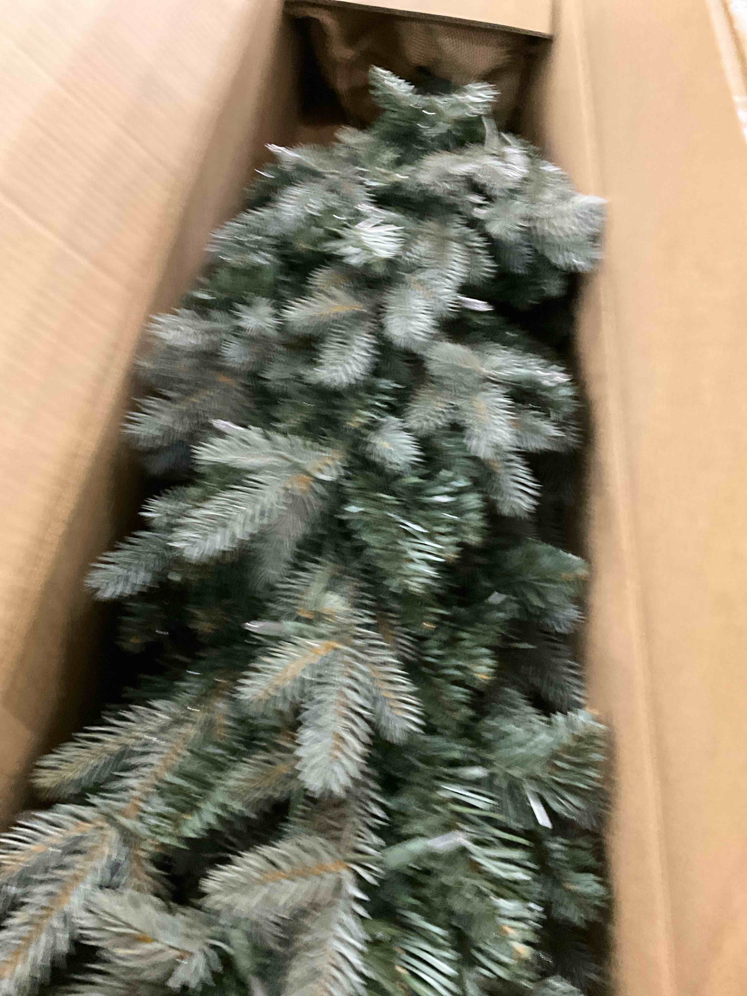 https://s3.amazonaws.com/lotting-images-prod/bidfta/TEA2358715_1750940740363.jpeg